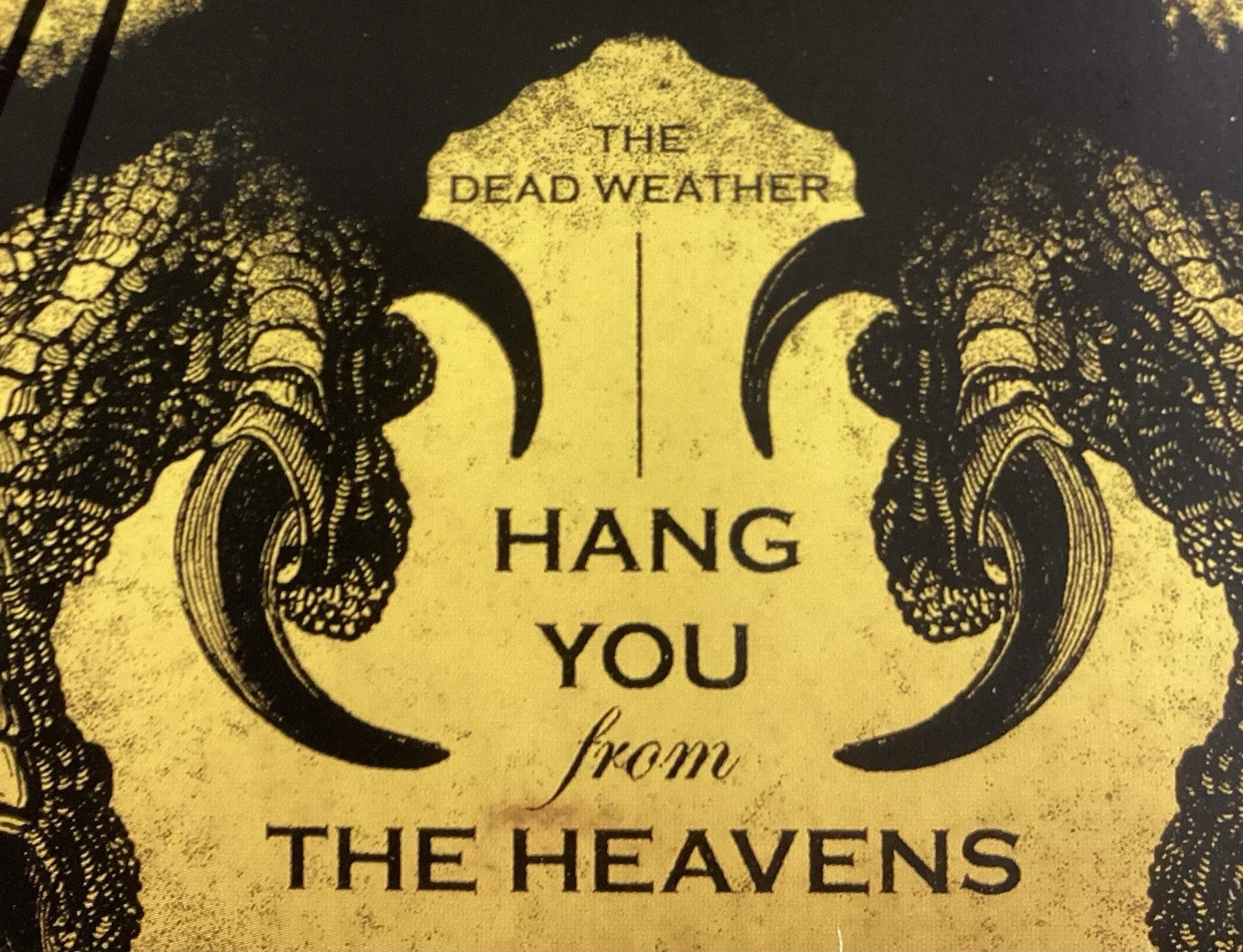 The Dead Weather Signed Record Album Cover Jack White Autograph +3 Music PSA/DNA, изображение 2