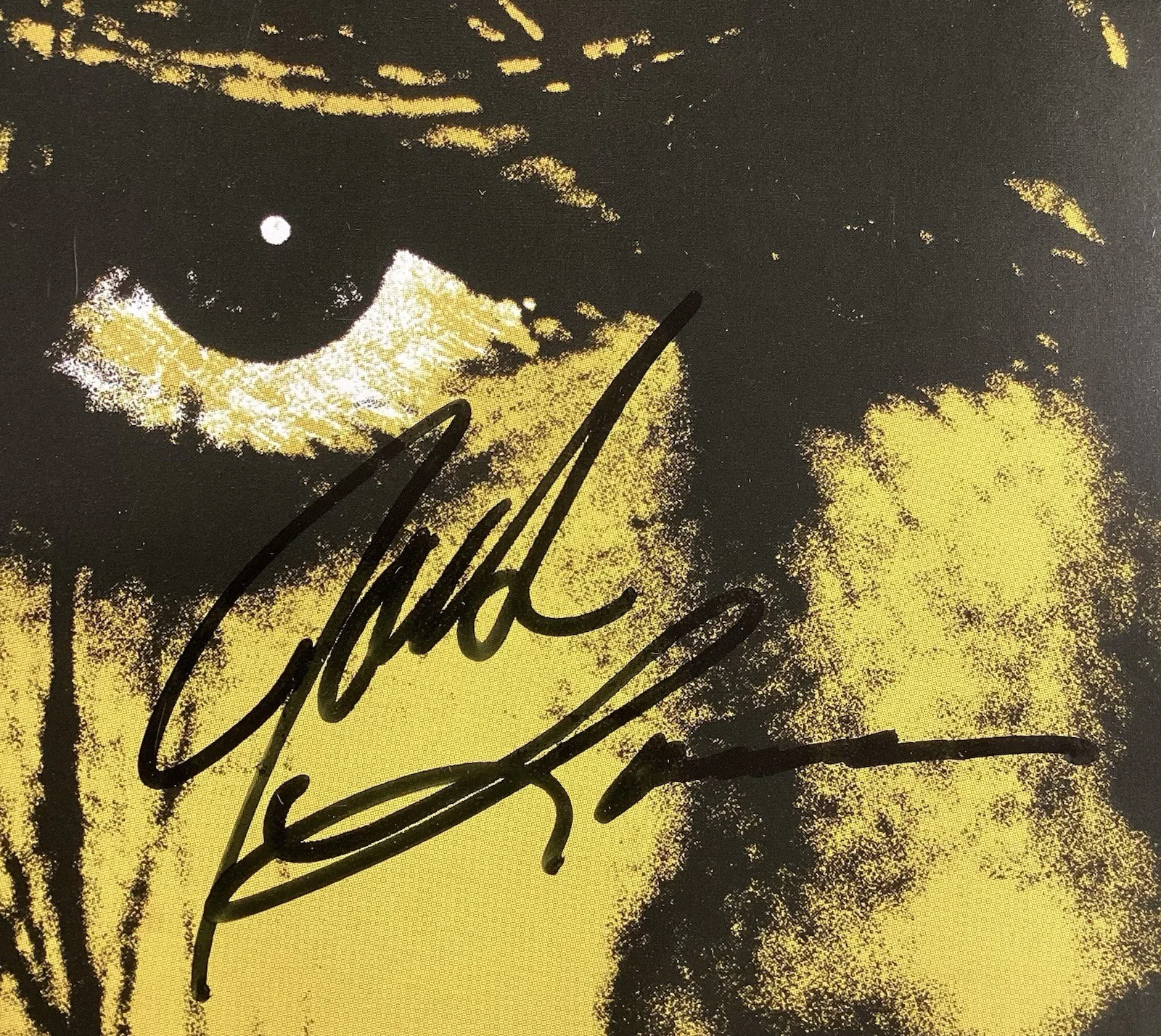 The Dead Weather Signed Record Album Cover Jack White Autograph +3 Music PSA/DNA, изображение 5
