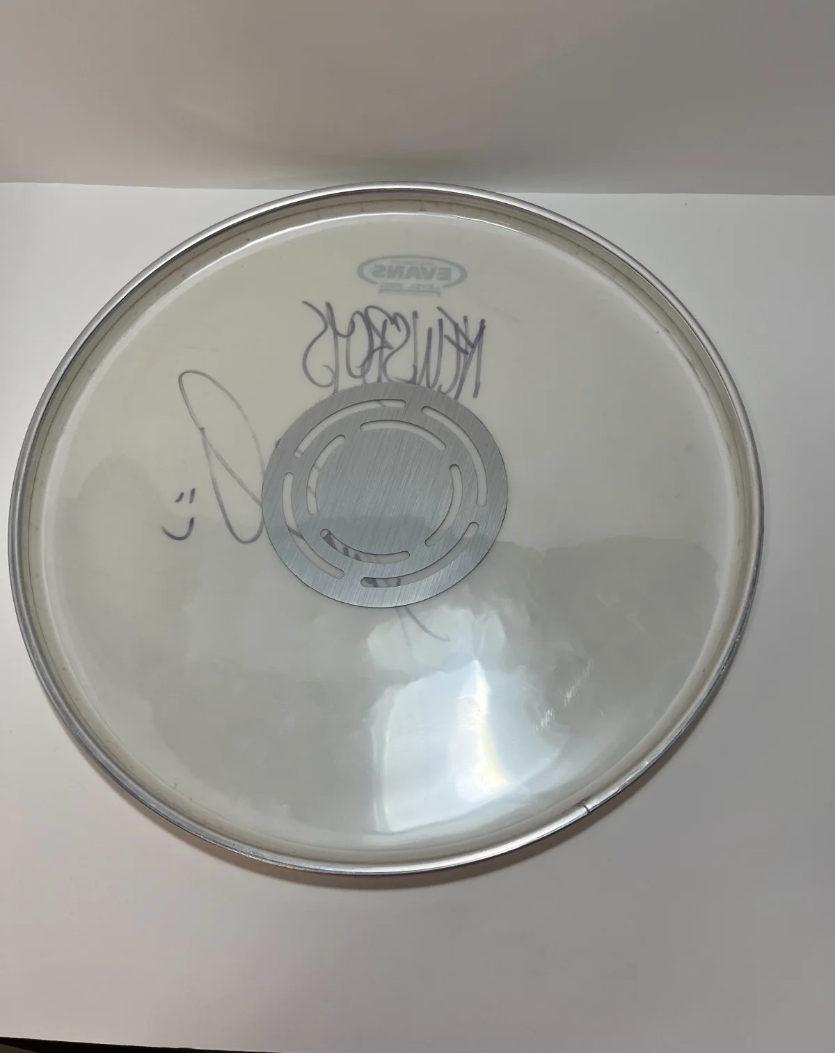 Newsboys Autographed 14.5'' Heavyweight Evans Snare Drum Head, изображение 2