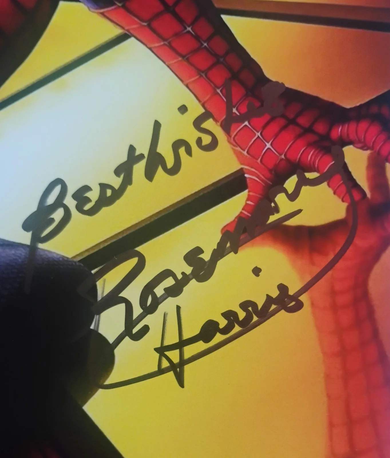 Rosemary Harris Hand Signed 8x10 Photo COA Spiderman NO US TARIFFS, image 3