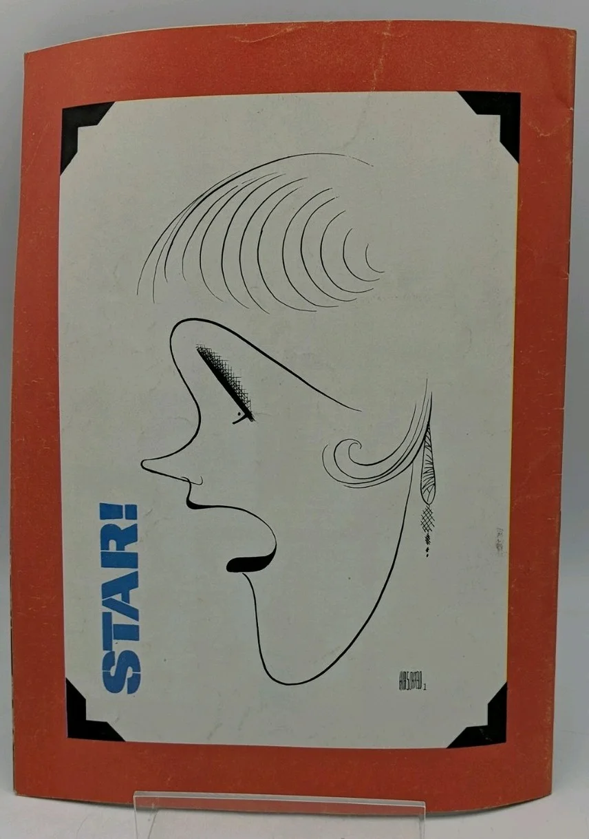 Original Collectable STAR! Julie Andrews 1968 Souvenir Movie Programme RARE UK ⭐, изображение 2