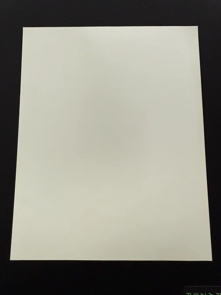 RARE A4 1991 The Naked Gun 2½: The Smell of Fear B/W Press Scene Print, изображение 2