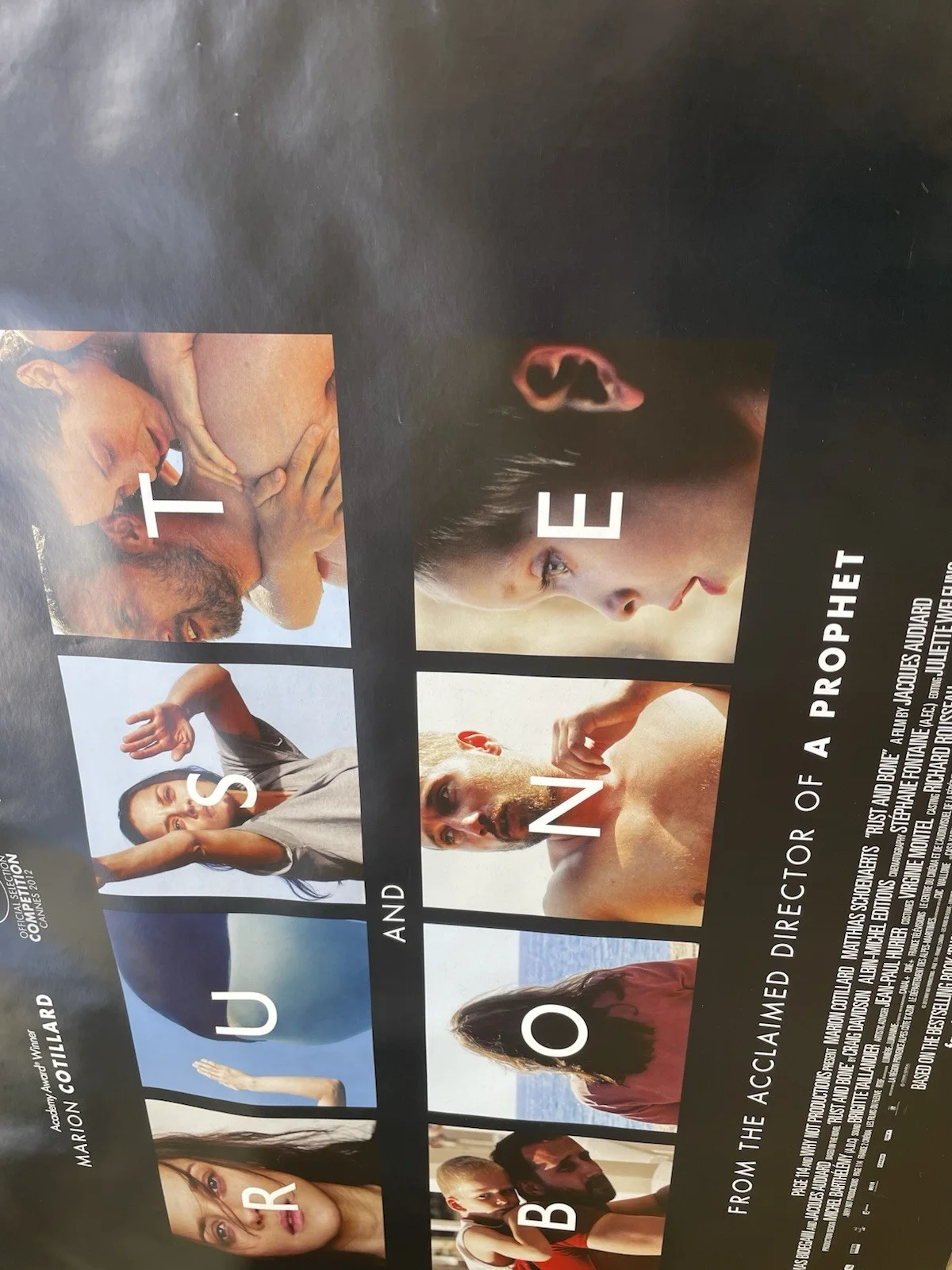 Rust And Bone (2012) Original UK Quad Poster 40”x30”, image 5