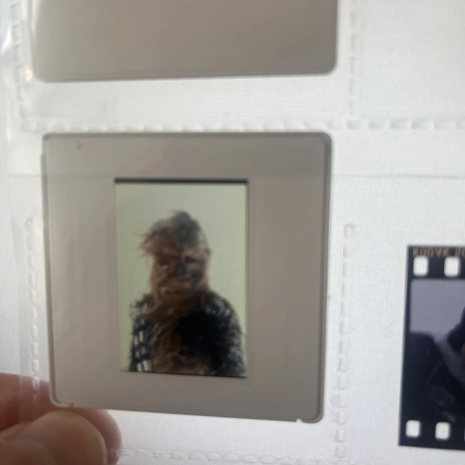 STAR WARS ESB. Vintage 35mm Slide. 1980. Chewbacca, image 2
