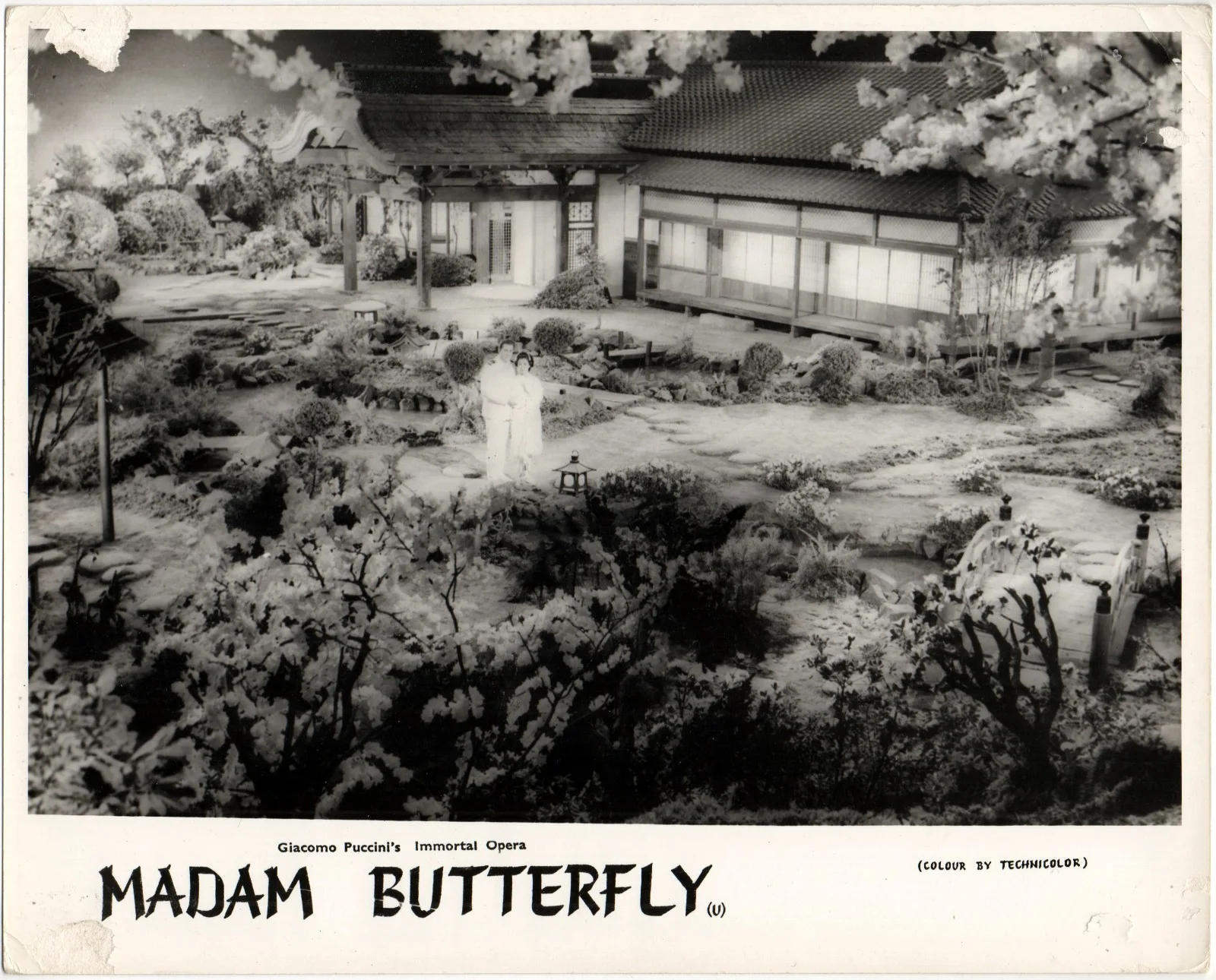 MADAM BUTTERFLY 1954 Carmine Gallone Kaoru Yachigusa 2 10x8 LOBBY CARDS, изображение 2