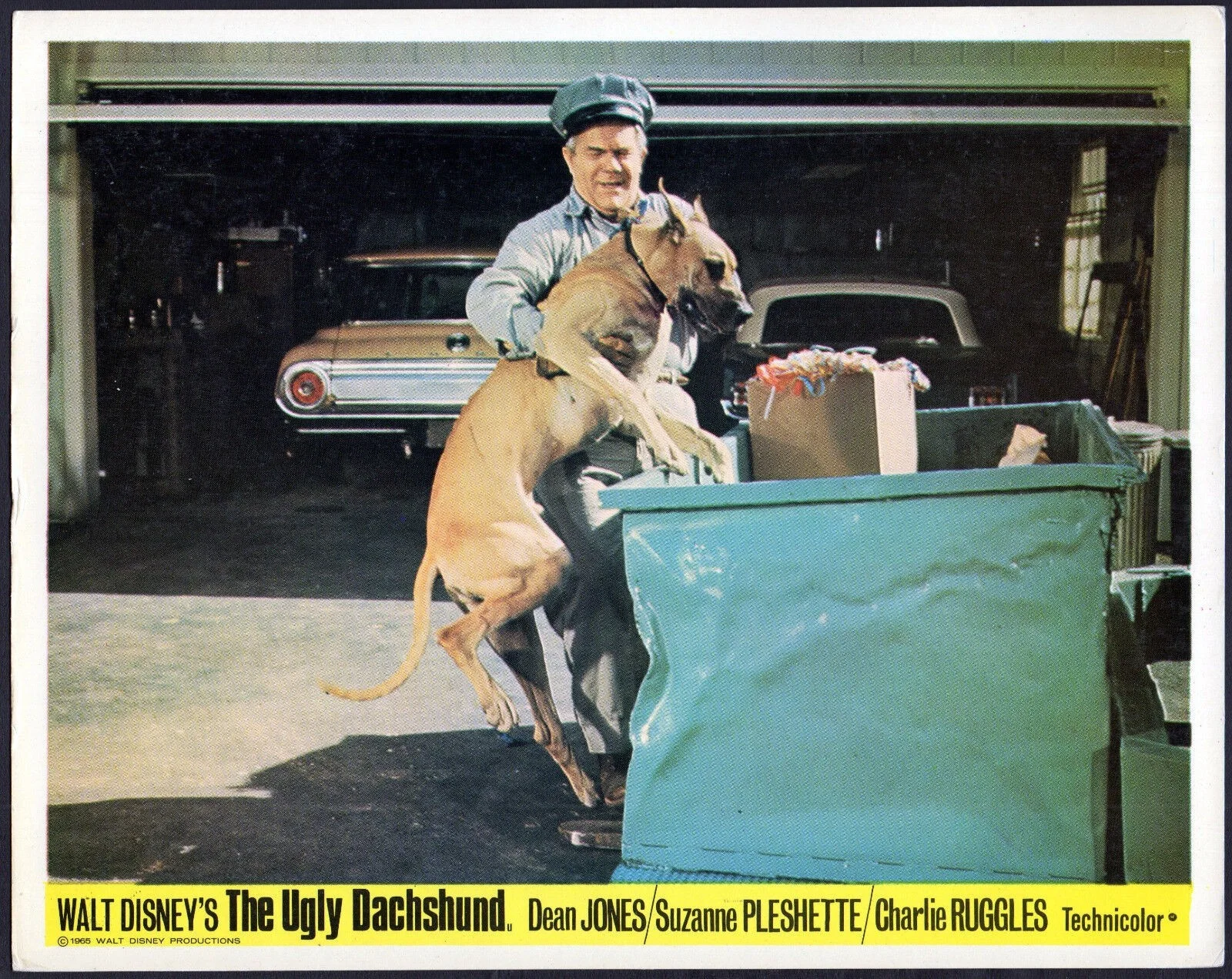 UGLY DACHSHUND 1966 Dean Jones, Suzanne Pleshette 2 UK 10x8 LOBBY CARDS, image 2