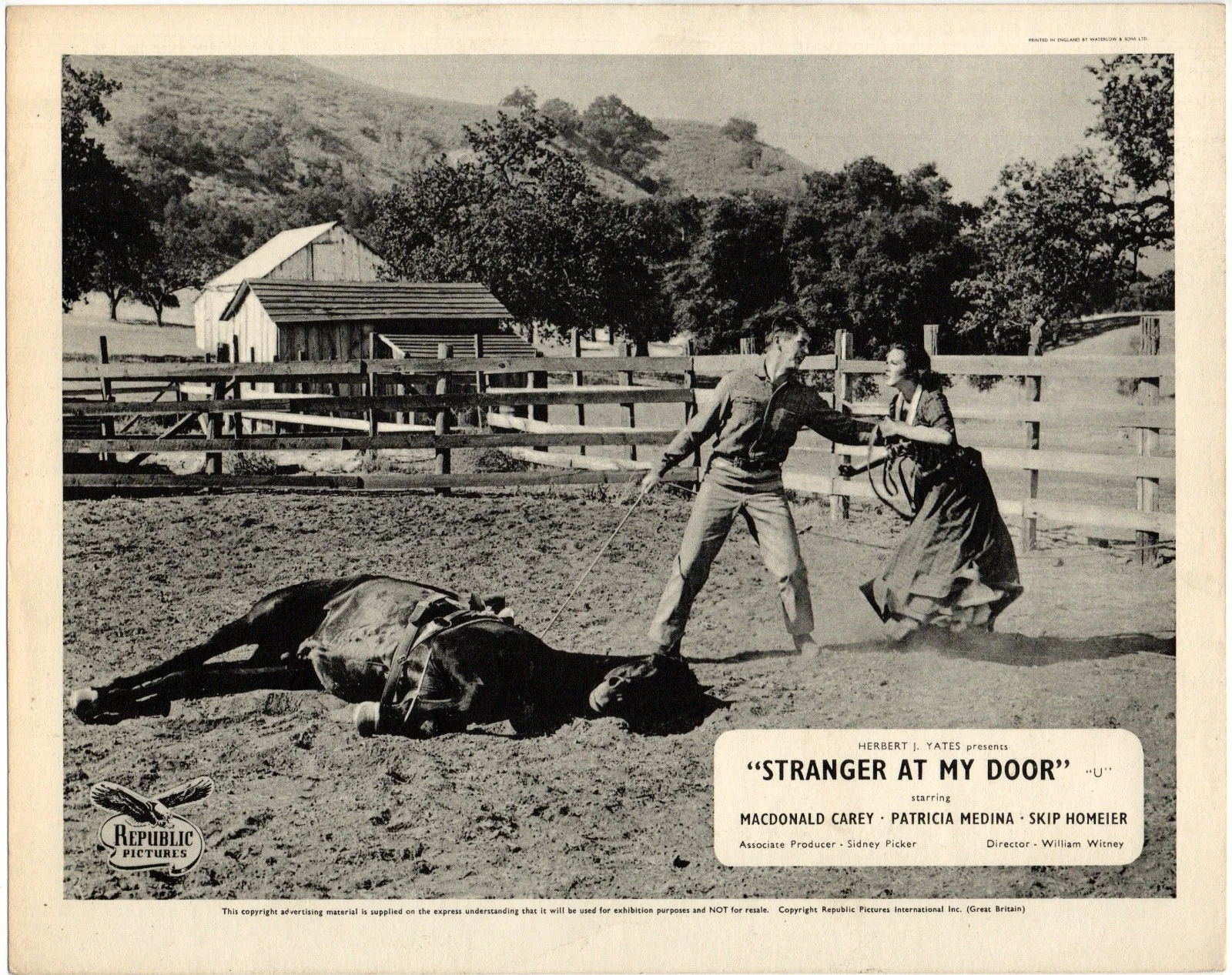 STRANGER AT MY DOOR 1956 Macdonald Carey, Patricia Medina 4 10x8 LOBBY CARDS, изображение 2