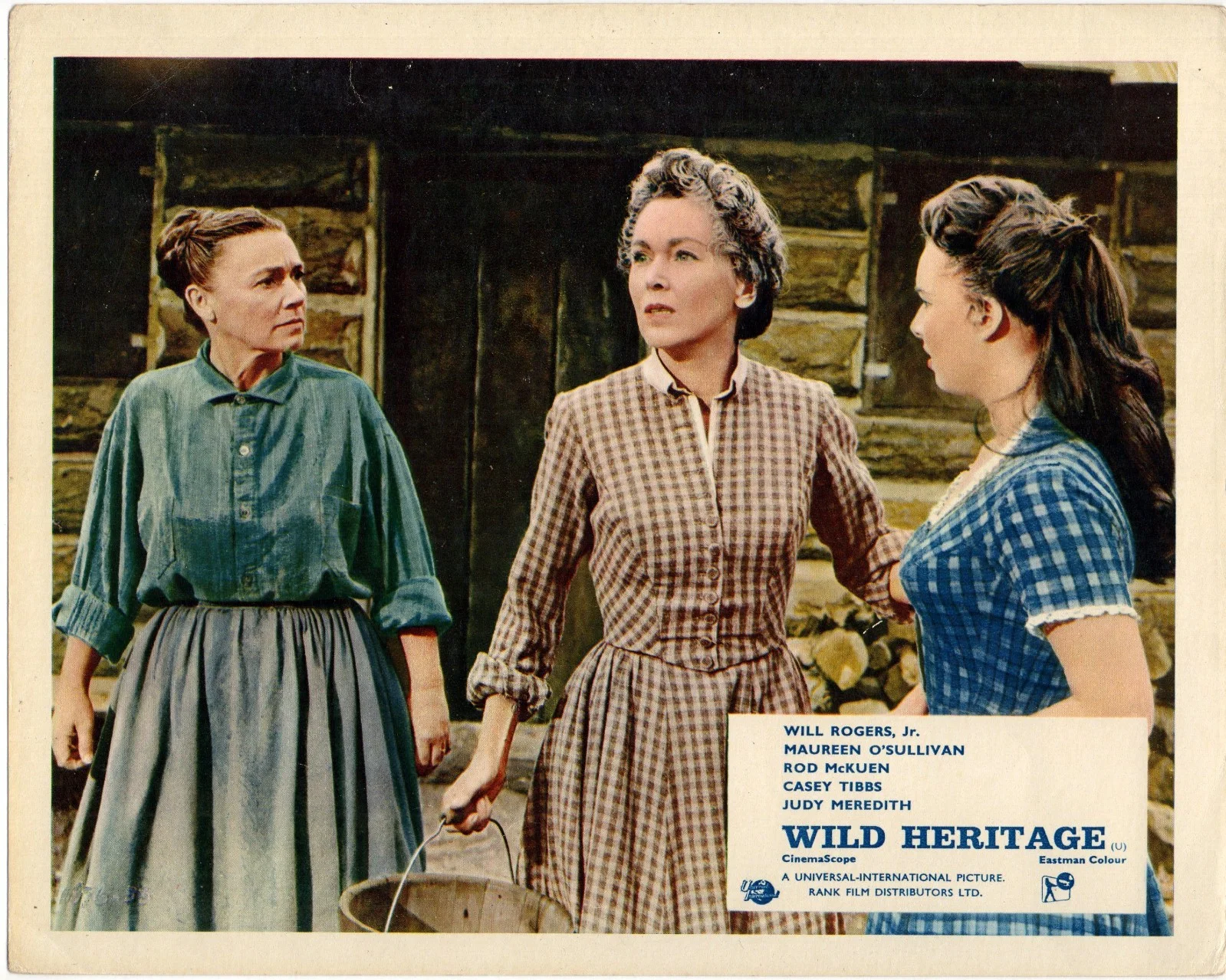 WILD HERITAGE 1958 Will Rogers Jr., Maureen O'Sullivan 5 10x8 LOBBY CARDS, изображение 2