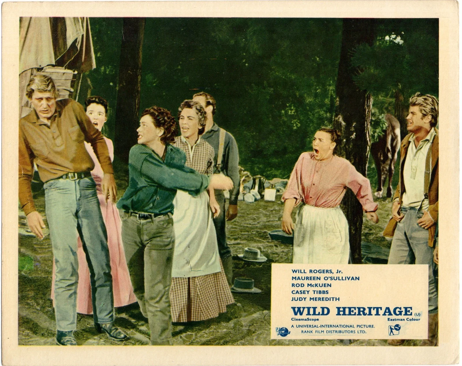 WILD HERITAGE 1958 Will Rogers Jr., Maureen O'Sullivan 5 10x8 LOBBY CARDS, изображение 3