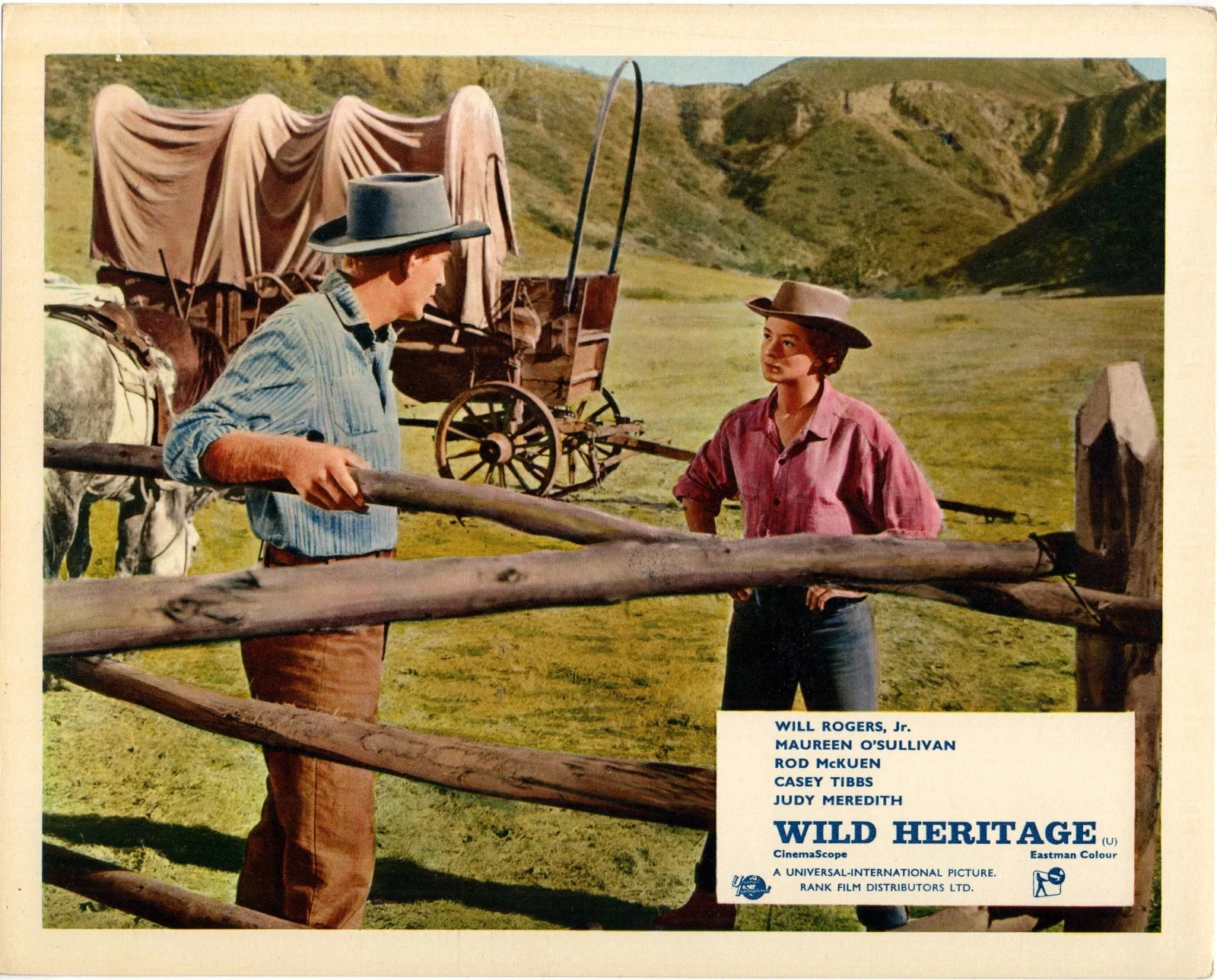 WILD HERITAGE 1958 Will Rogers Jr., Maureen O'Sullivan 5 10x8 LOBBY CARDS, изображение 4