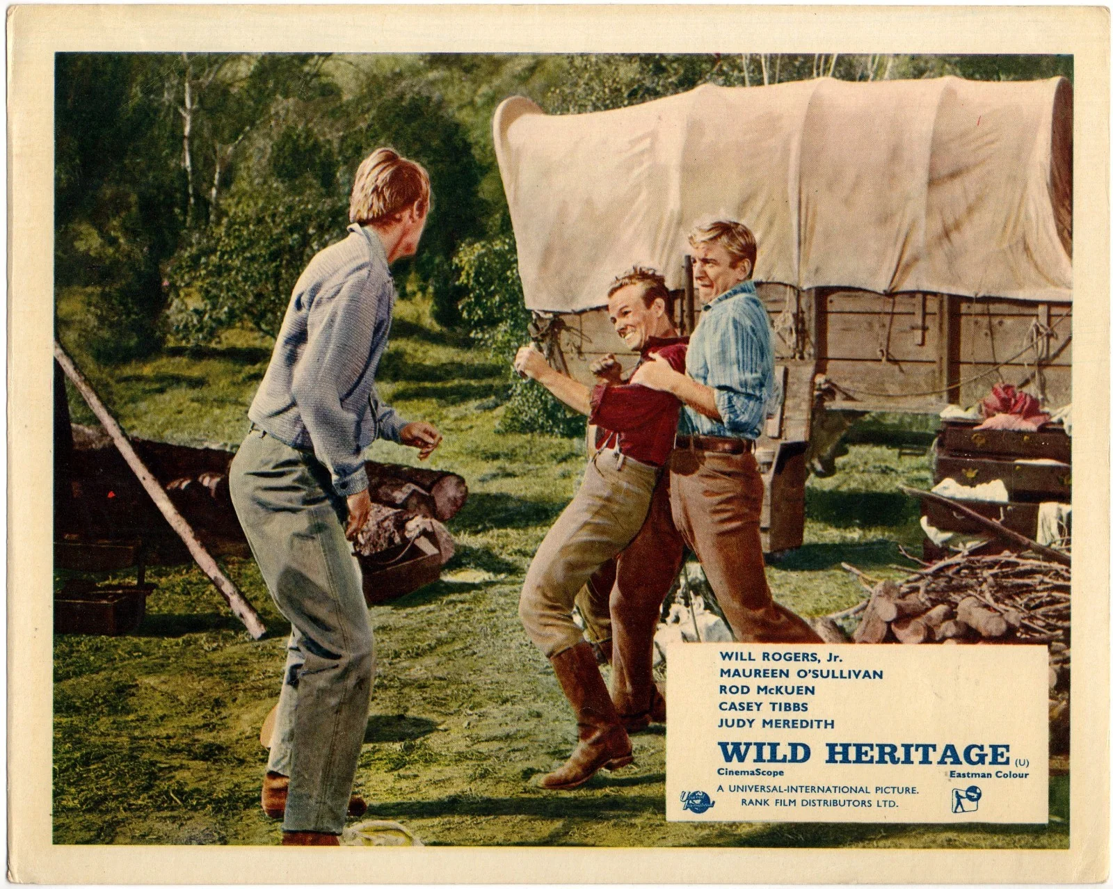 WILD HERITAGE 1958 Will Rogers Jr., Maureen O'Sullivan 5 10x8 LOBBY CARDS, изображение 5