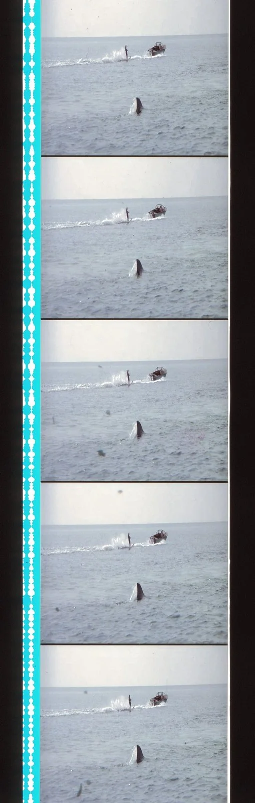 Jaws 2 35mm Film Cell strip very Rare var_b, изображение 4