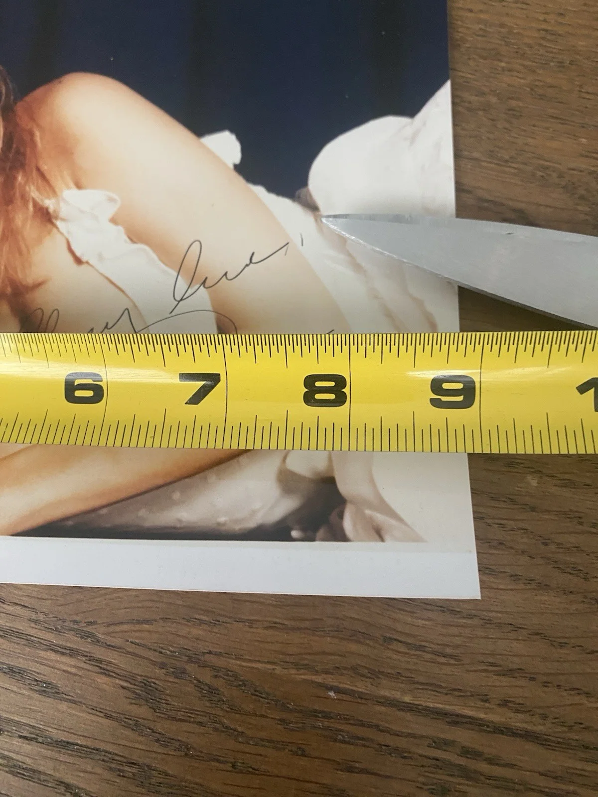 Pia Zadora — PIA ZADORA SIGNED AUTOGRAPH 8X9 Inch PHOTO - SEXY VERY RARE!, изображение 4
