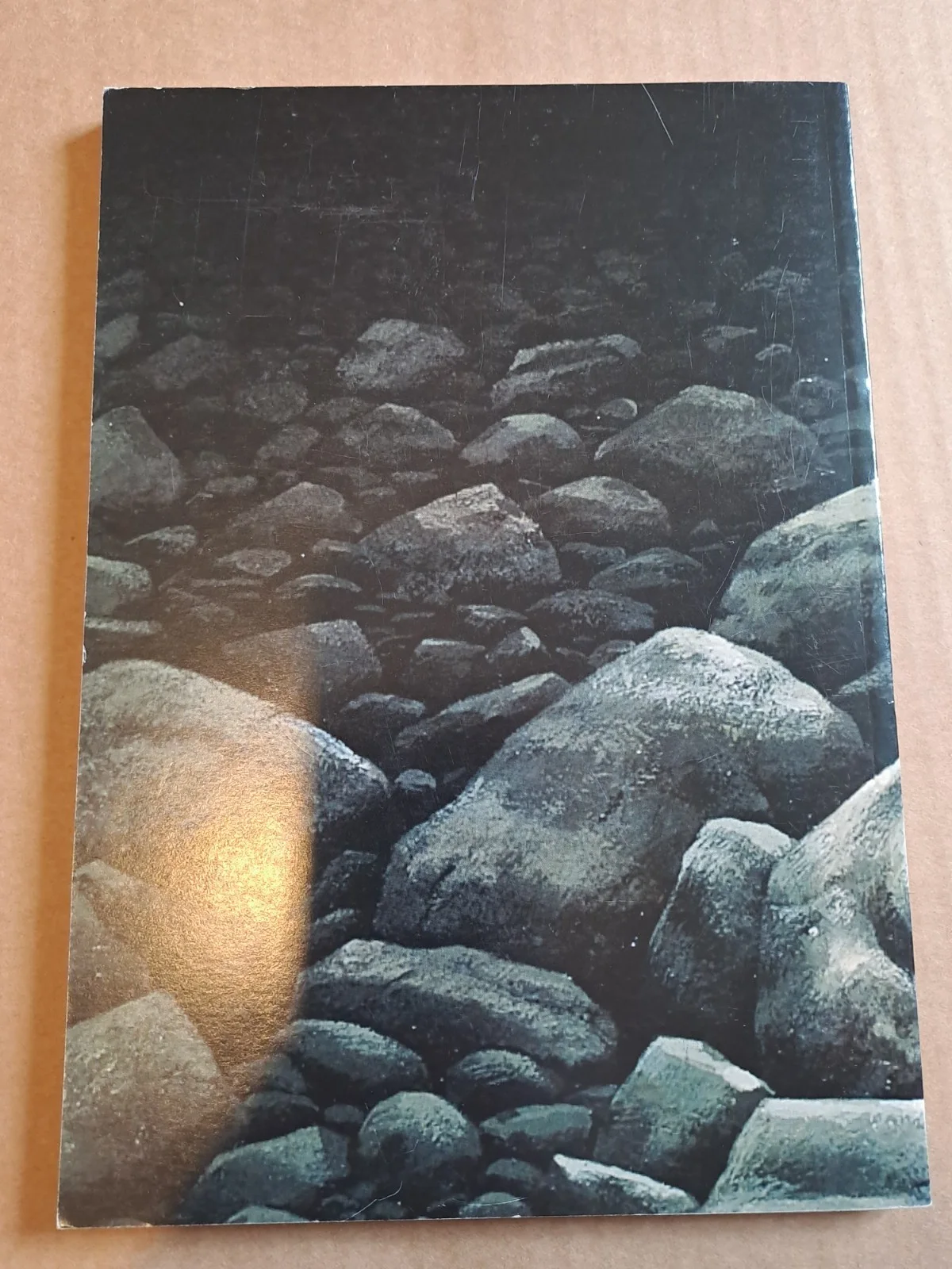 NEARLY PEOPLE signed by Conrad Williams 85 of 500 Limited edition, изображение 2