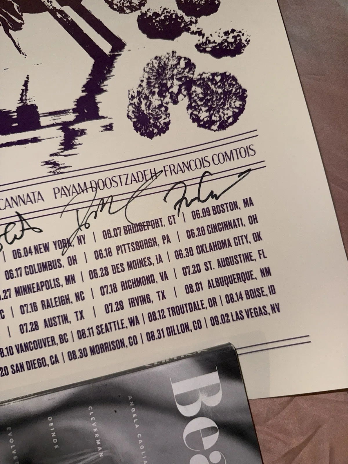 Young The Giant American Bollywood 2023 Tour Autographed Poster, image 3