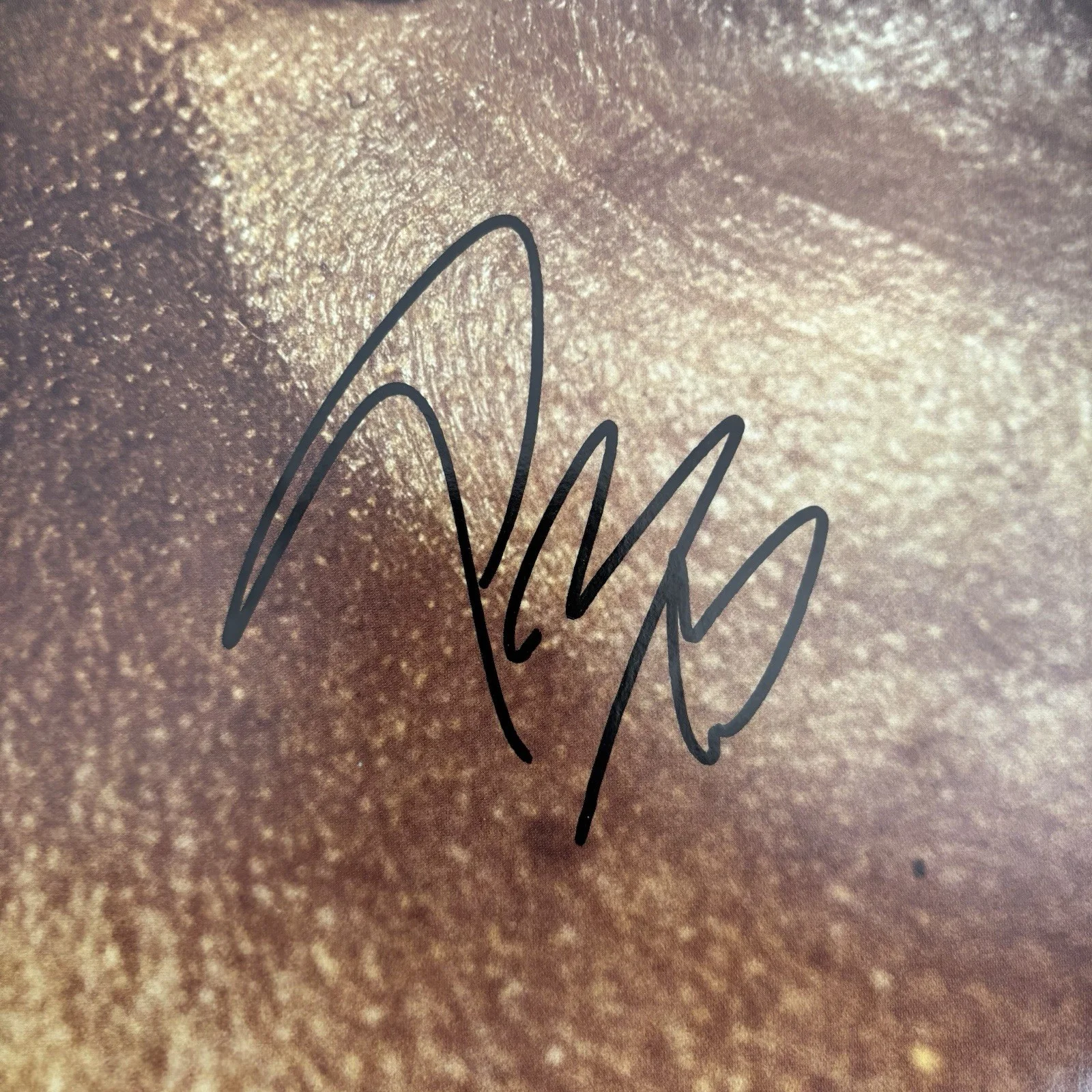 Post Malone Beerbongs And Bentleys Vinyl Album Signed Autograph JSA COA B&B, image 3