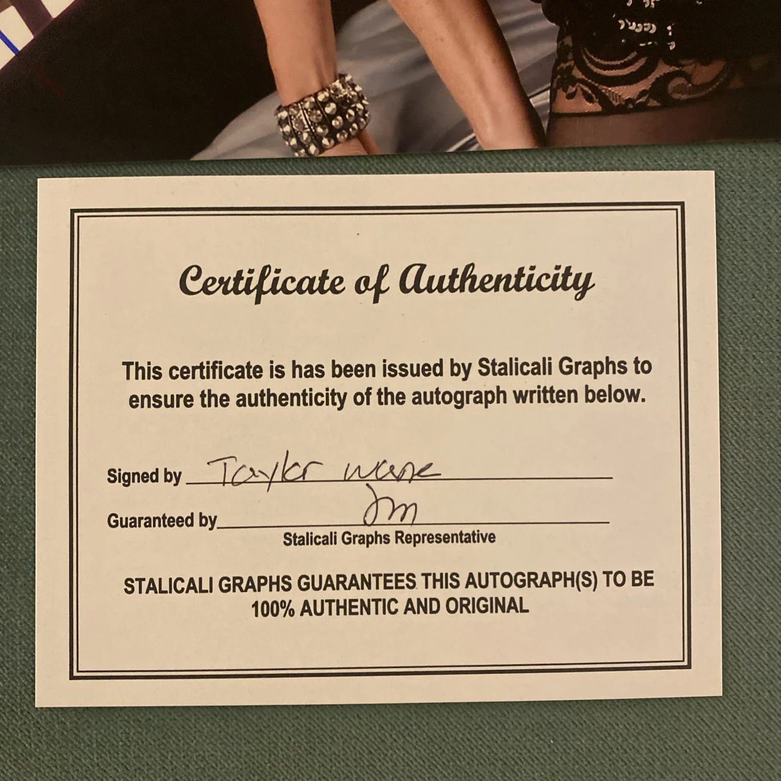 Taylor Wane Adult Film Star Signed Autographed 8x10 Photo Sexy Hot COA, изображение 3