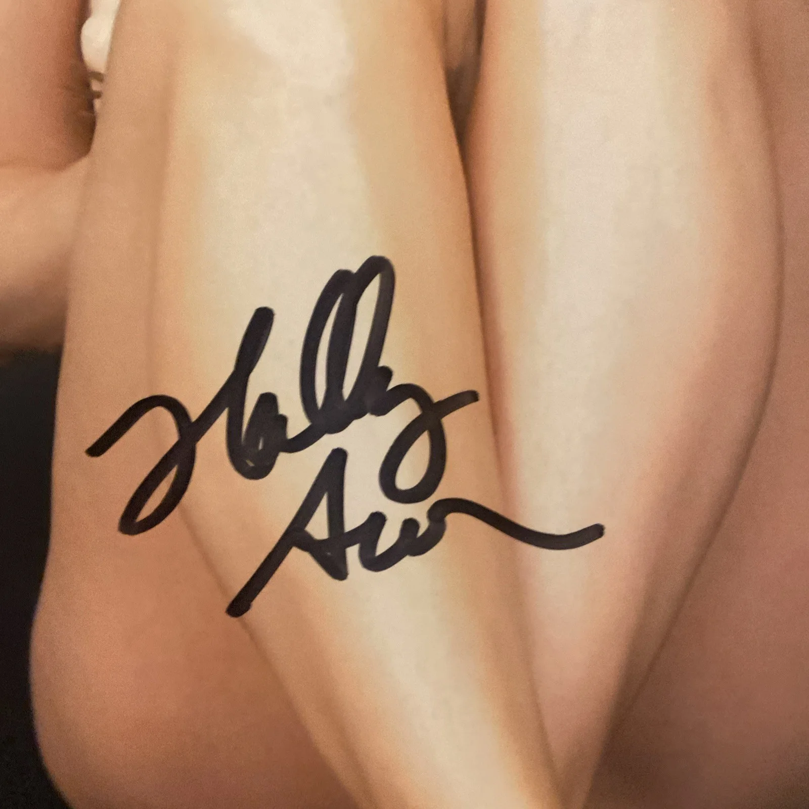Holly Ann Signed Autographed 8x10" Photograph Sexy Portrait Adult Model, изображение 2