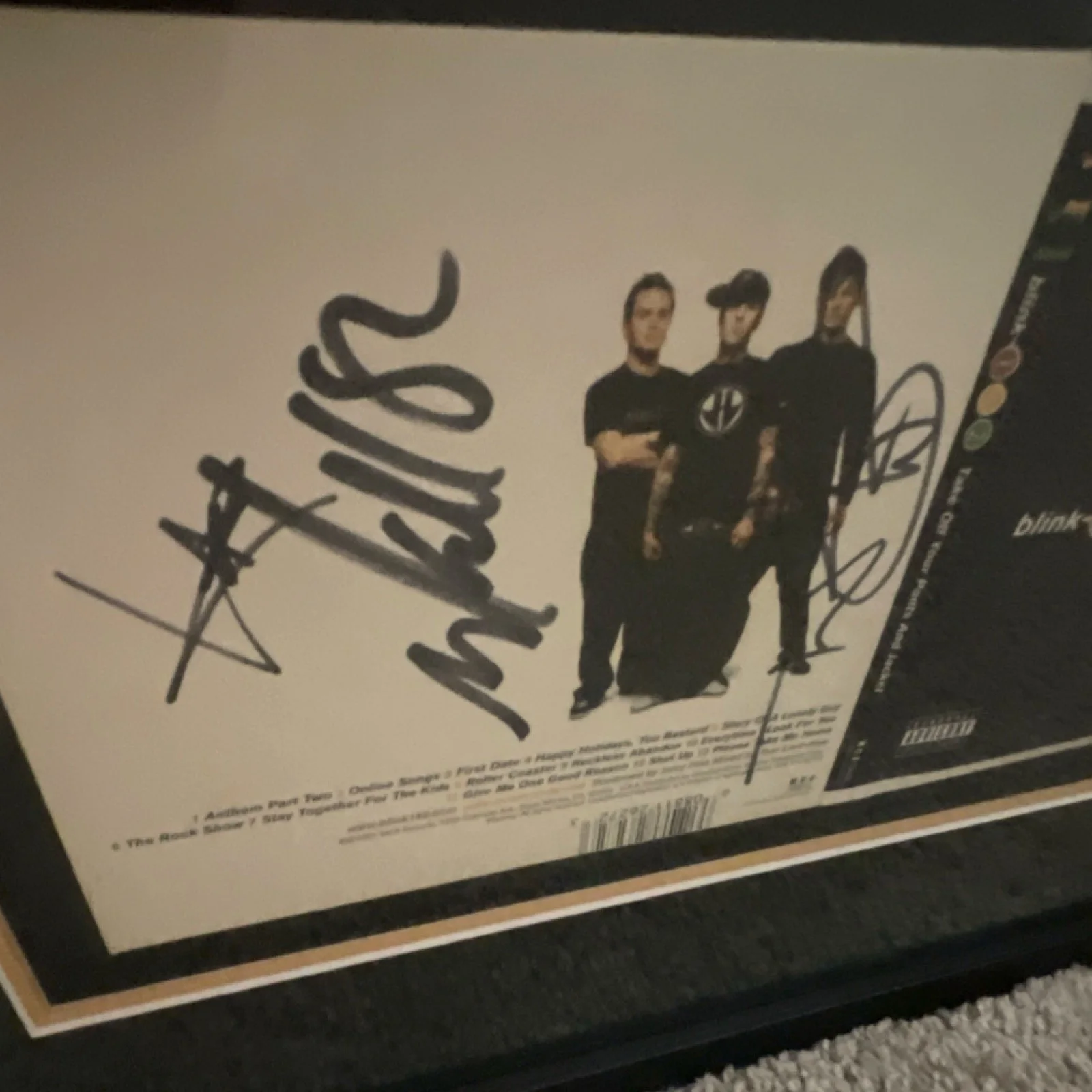 Blink-182 Framed Original Autographed CD & Booklet Music Collectible Signed Item, изображение 2