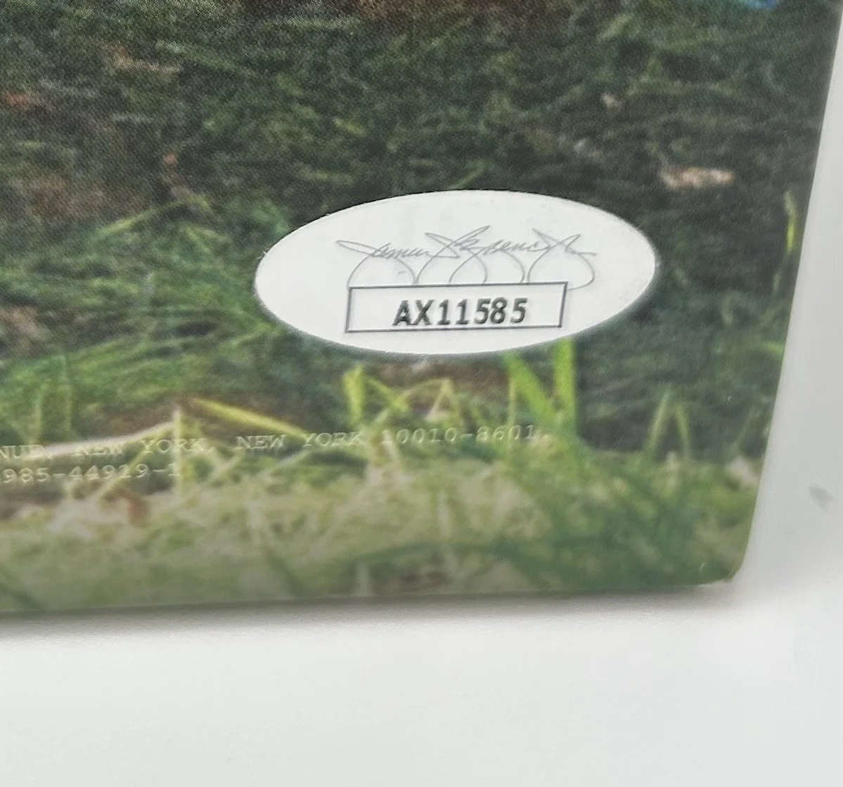 SZA SIGNED AUTOGRAPHED LP VINYL 12’ CNTRL JSA COA *Sticker Only*, image 4