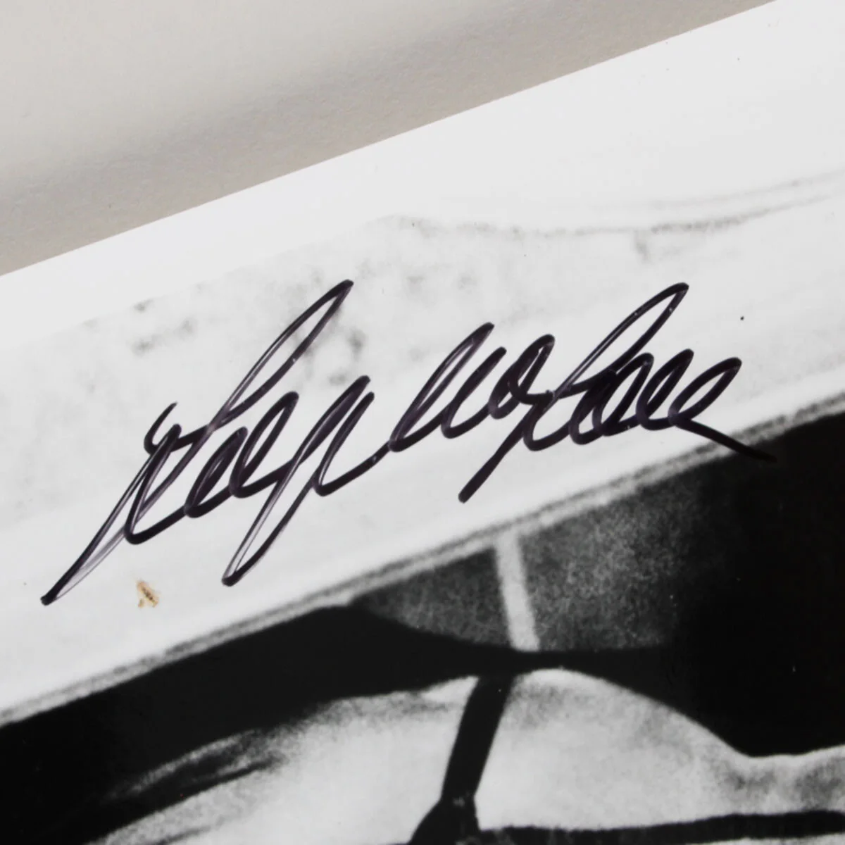 Sophia Loren Signed Photo 8x10 - COA, image 2