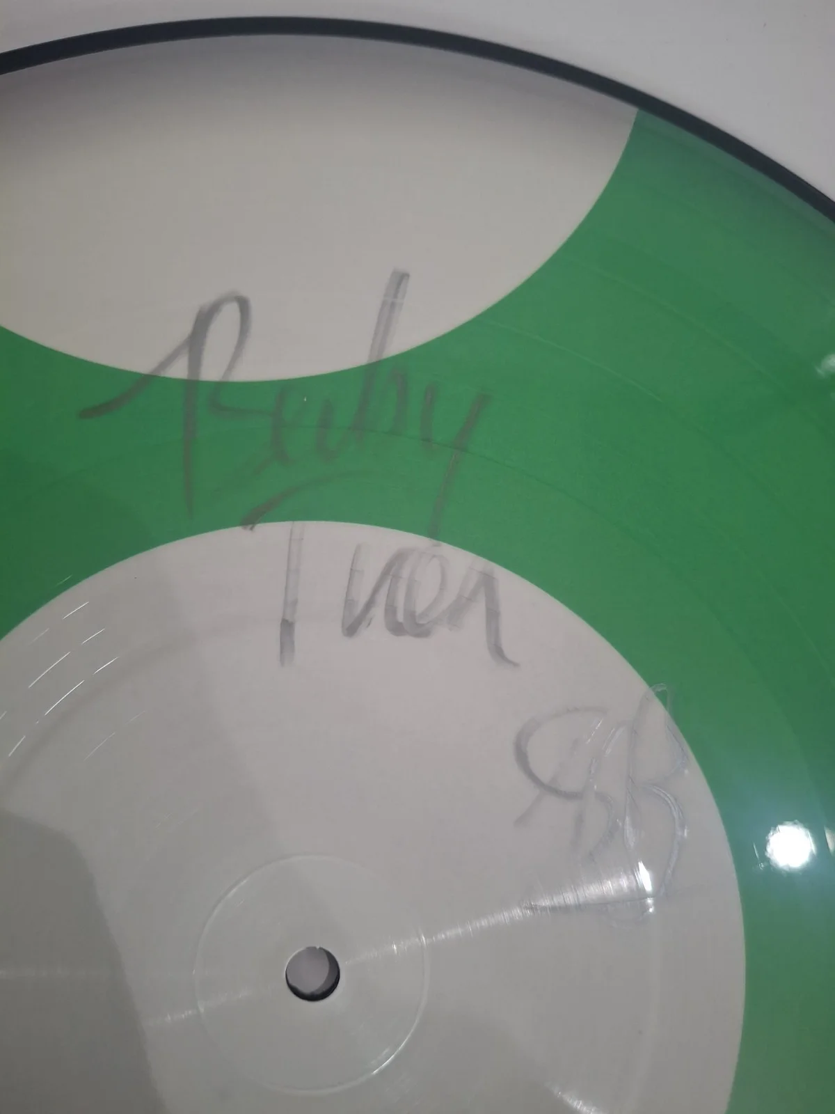 Babytron Mario And Luigi Signed Vinyl Bas Beckett Coa, изображение 3