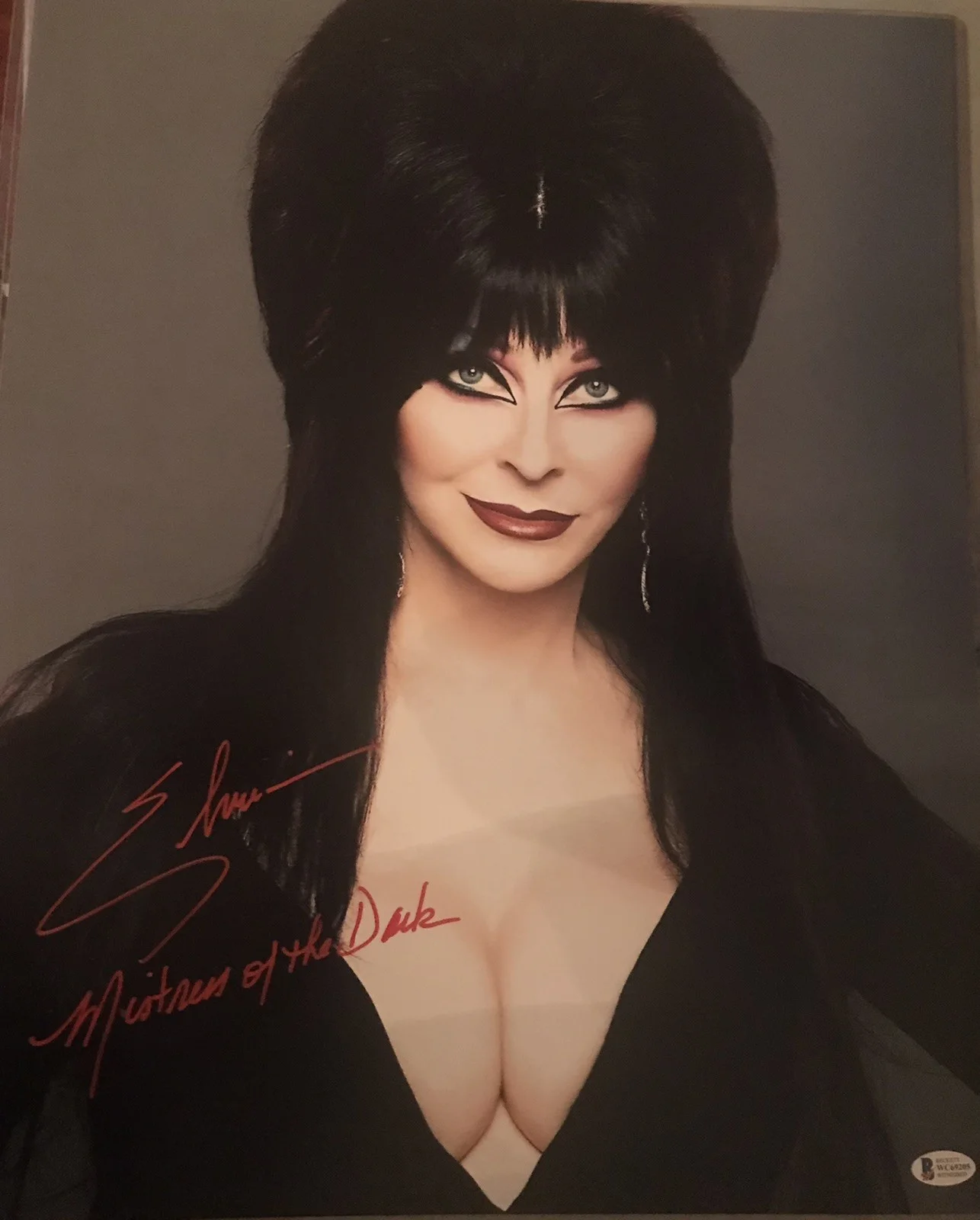 Cassandra Peterson — Cassandra Peterson Autographed 16x20 Elvira Photo w/Insc - Beckett COA