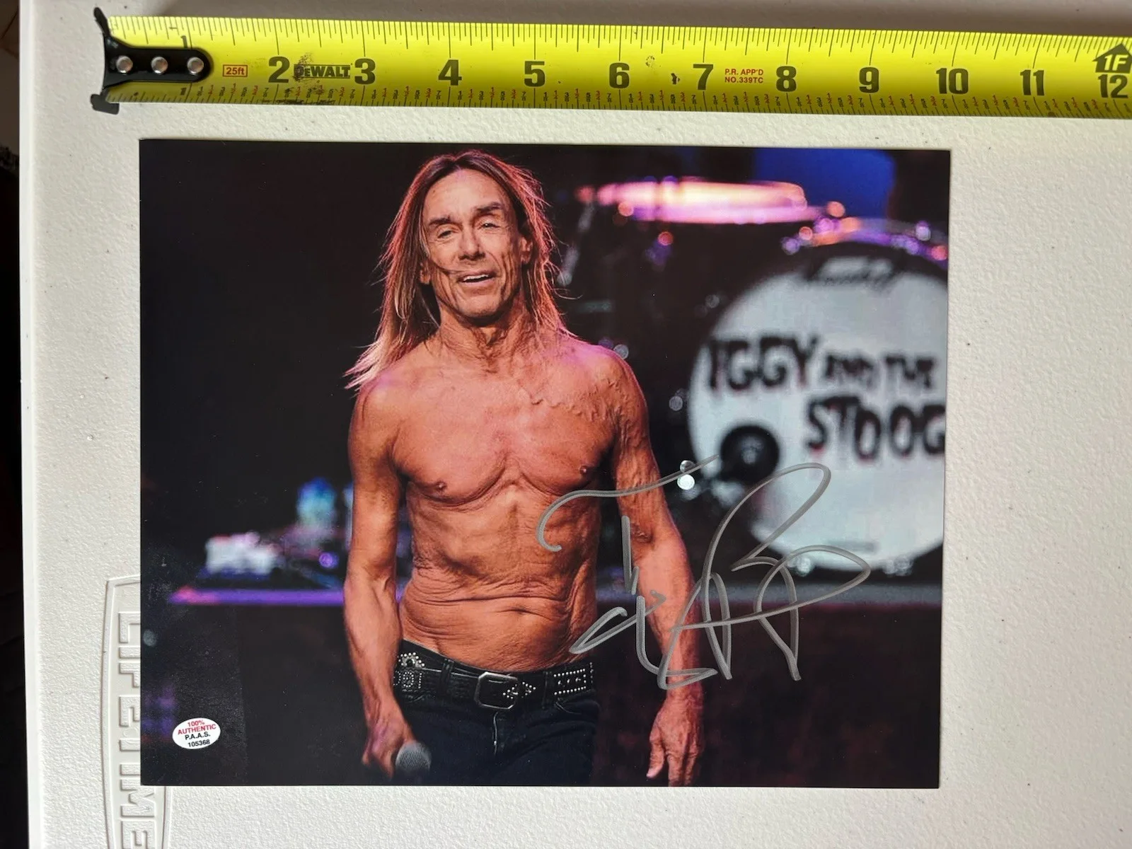 Iggy Pop 8x10 Photo Autographed by the Legendary Singer, PAAS COA 368, изображение 2