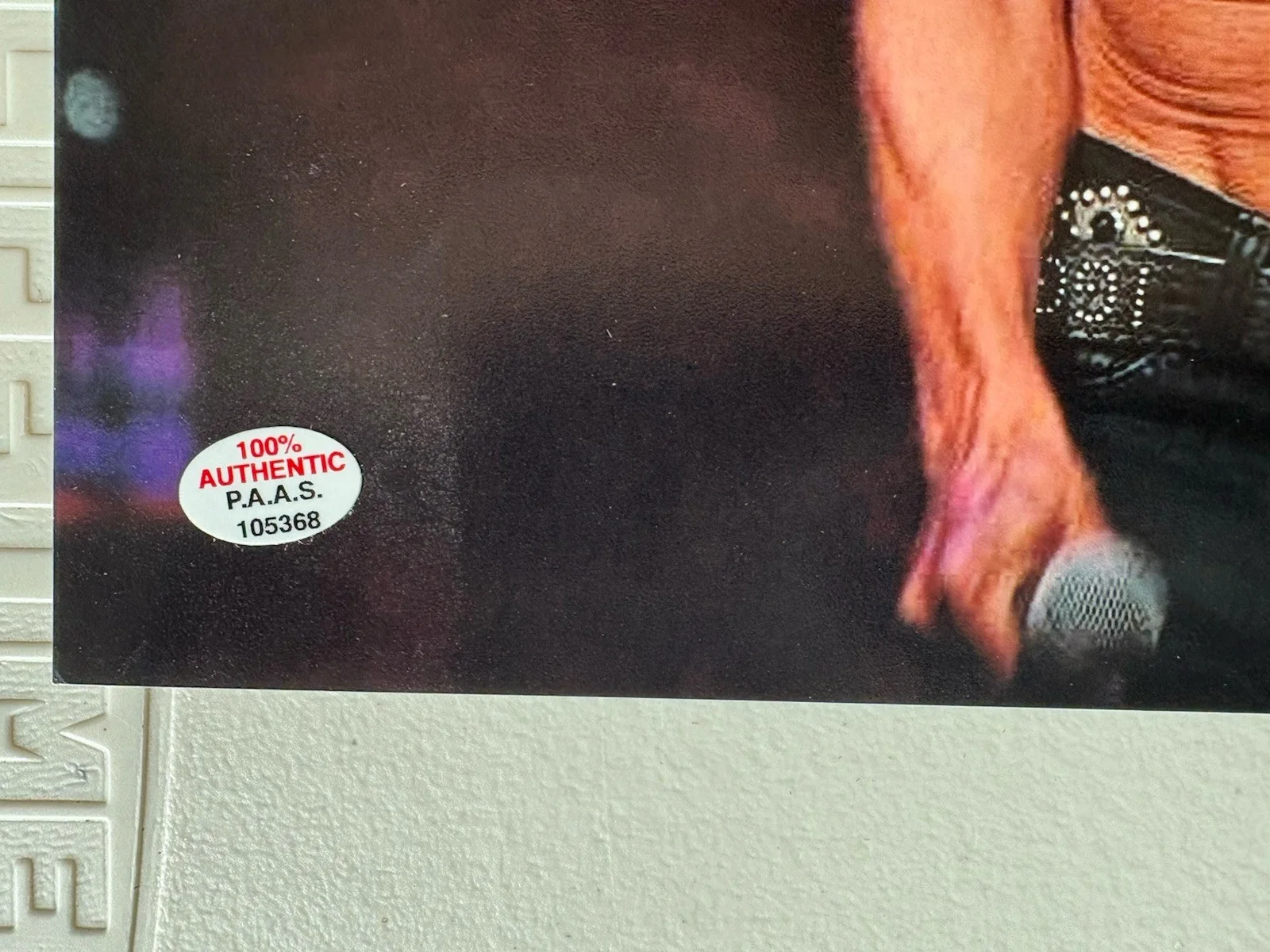 Iggy Pop 8x10 Photo Autographed by the Legendary Singer, PAAS COA 368, изображение 3