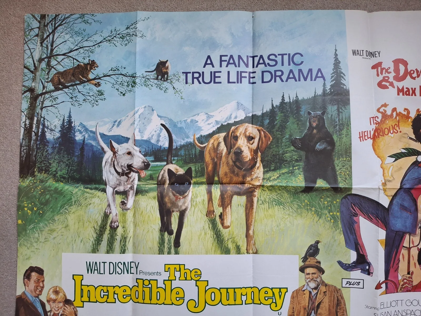 The Incredible Journey & The Devil and Max Devlin Quad Film Cinema Movie Poster, image 3