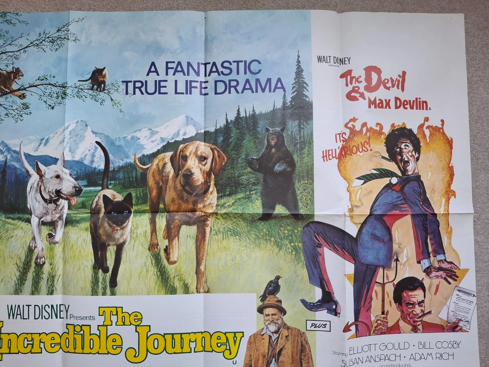 The Incredible Journey & The Devil and Max Devlin Quad Film Cinema Movie Poster, image 4