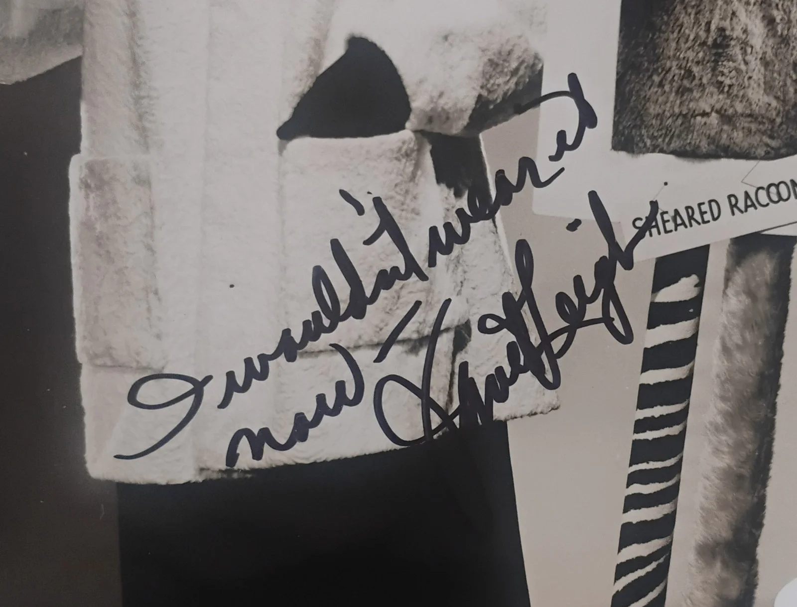 Janet Leigh Hand Signed Autograph JSA COA 8x10 Photo NO US TARIFFS, image 2