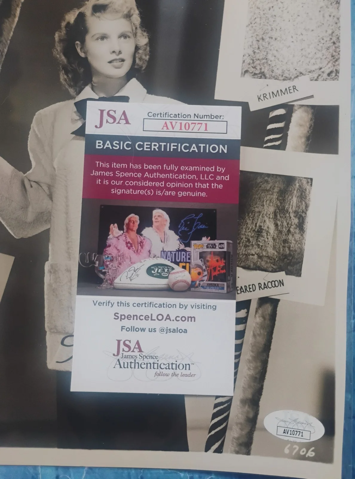 Janet Leigh Hand Signed Autograph JSA COA 8x10 Photo NO US TARIFFS, image 3