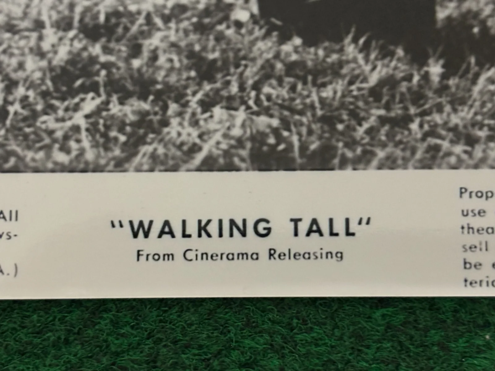 8x10 Walking Tall Official Studio Press Photo - From The Estate of Joe Don Baker, изображение 3