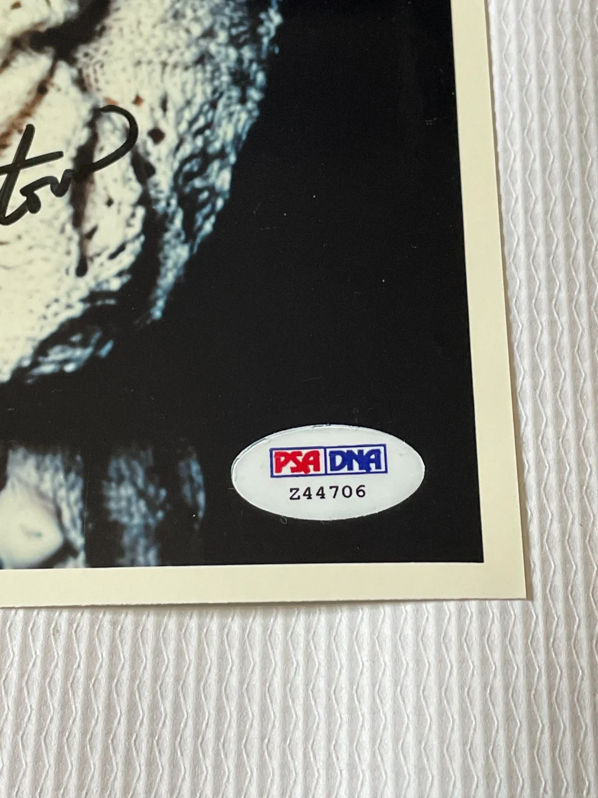 Madeleine Stowe — Madeleine Stowe Signed Autographed 8x10 Photo PSA/DNA, изображение 3