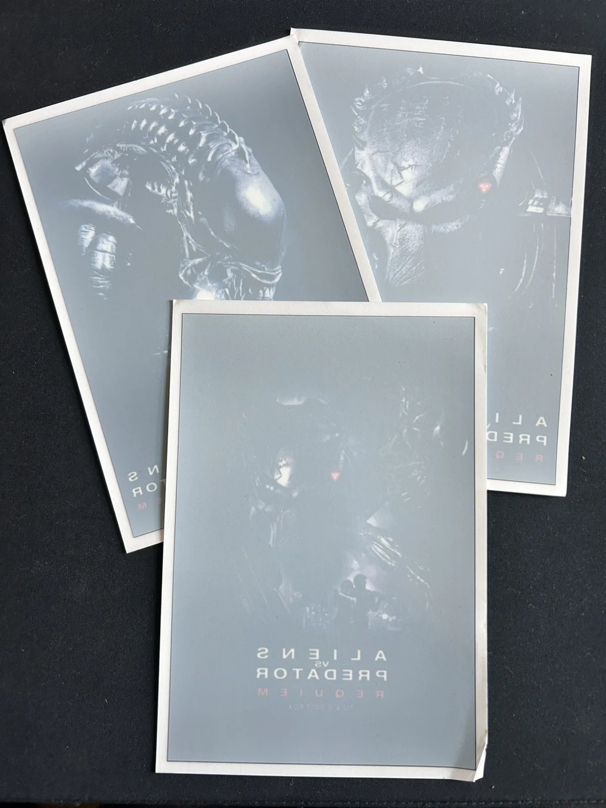 Alien Vs Predator Requiem Car Tattoos, image 3