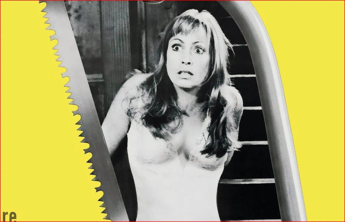 Torso - 1973 Giallo Horror Film Restored 27.2" x 41" US One Sheet Poster, image 5