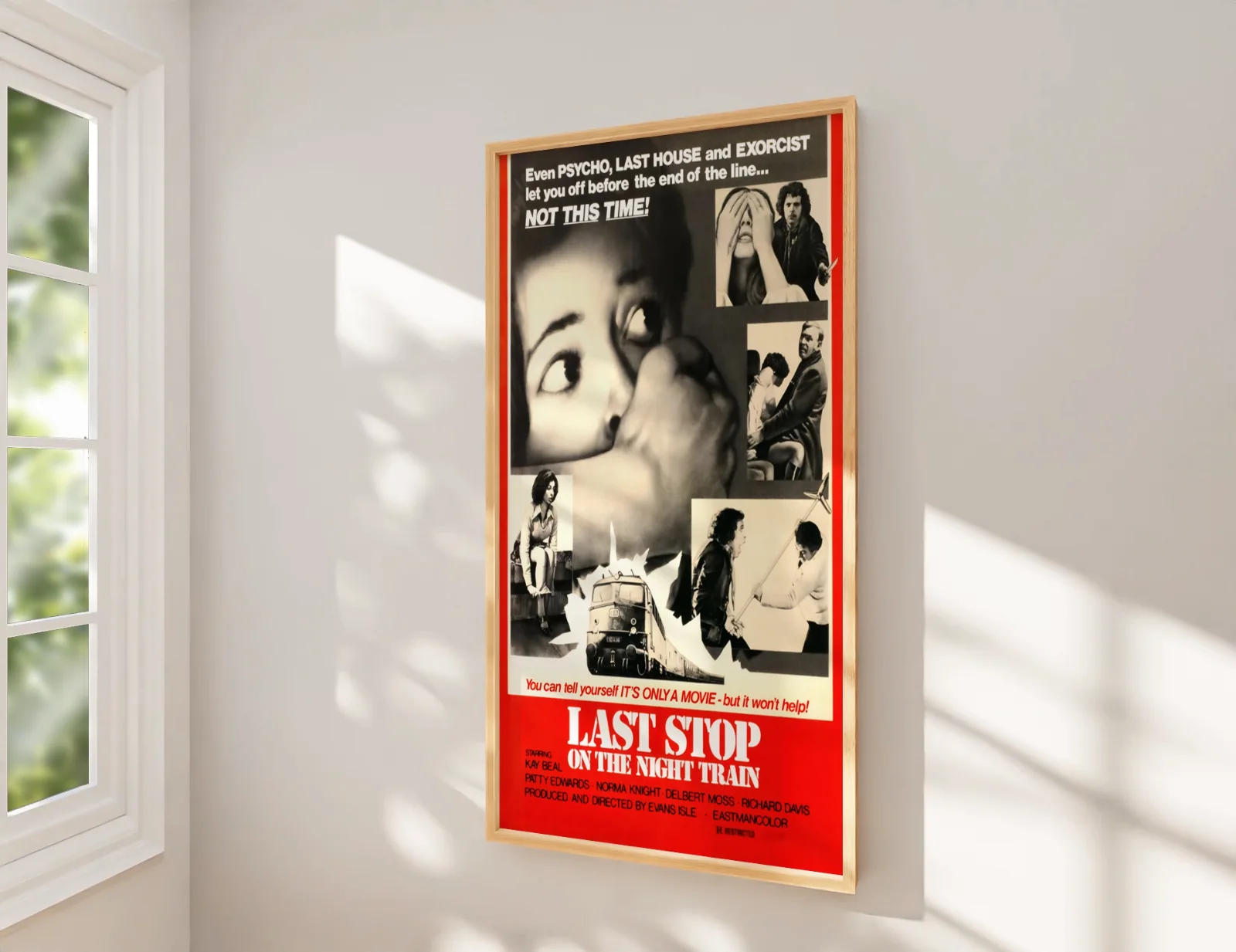 Last Stop On The Night Train - 1975 Horror Restored 27.2" x 41" US One Sheet, изображение 2