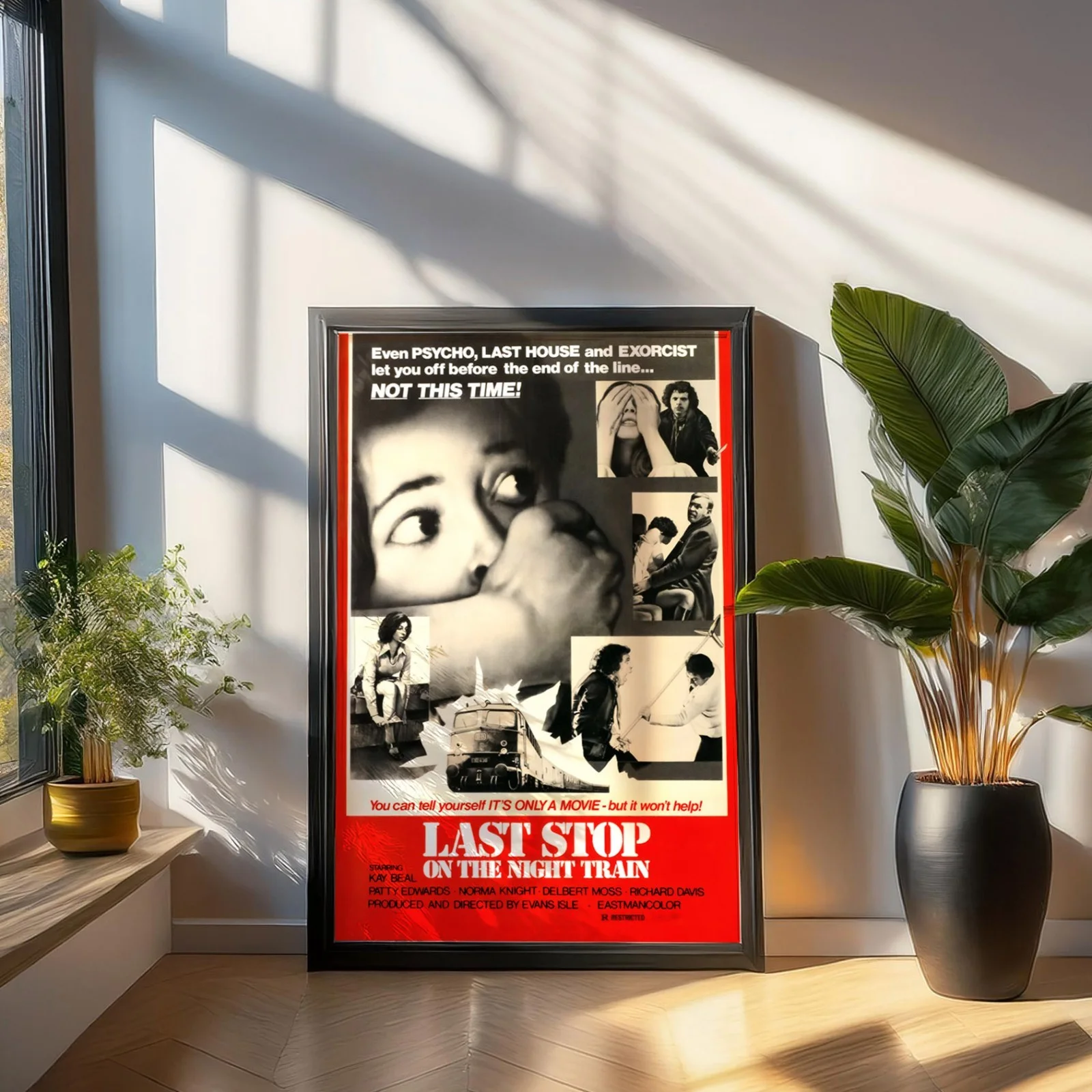 Last Stop On The Night Train - 1975 Horror Restored 27.2" x 41" US One Sheet, изображение 3