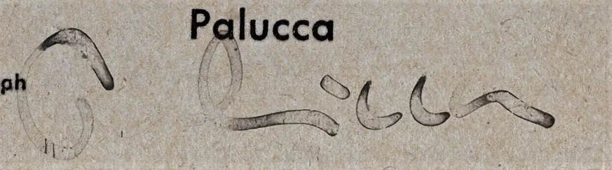 Gret Palucca — Autograph Gret Palucca Signed Early Vintage Photo Dance Expressionism CoA, изображение 3