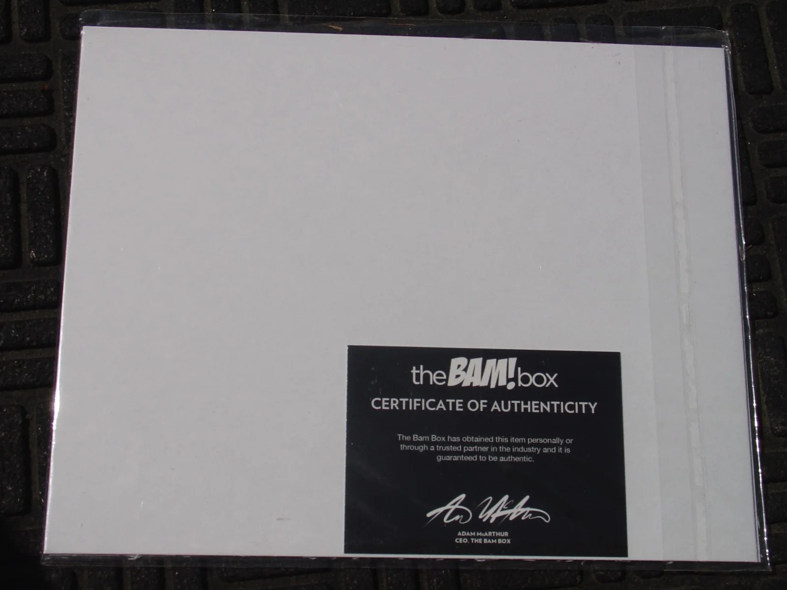 Damian Maffei Signed 8x10 Photo Man in the Mask The Strangers Movie Bam Box COA, изображение 3