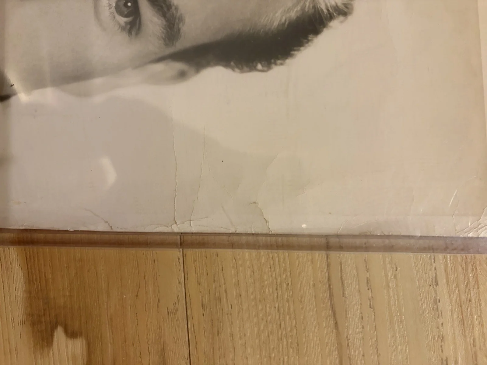 Robert Wagner Signed Vintage BW 8x10 Photo Autographed, изображение 5