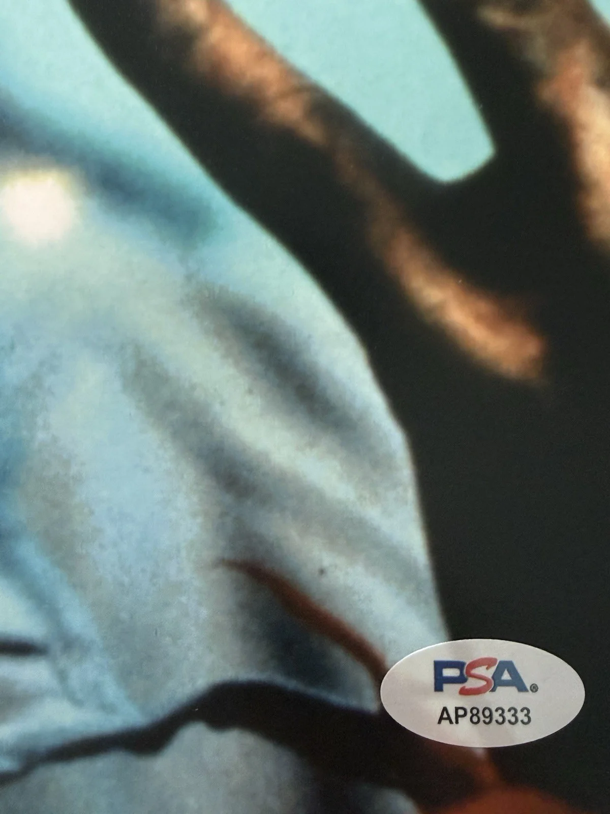Robert Englund — Robert Englund Signed 11x14 Nightmare on Elm Street Freddy Krueger Photo PSA COA, image 3