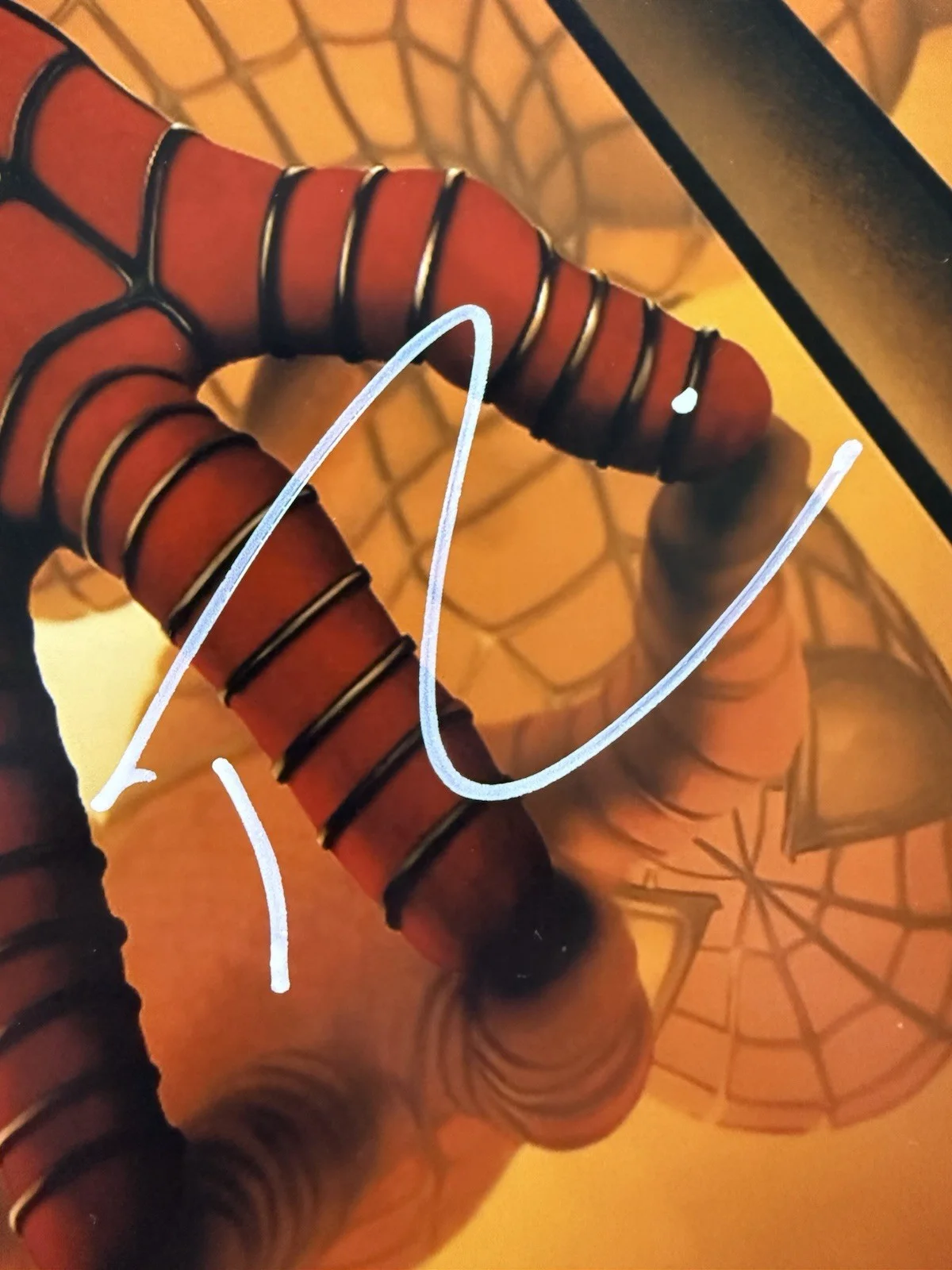 Tobey Maguire — Tobey Maguire Autograph Signed 11x17 Spider-Man Poster Photo PSA COA, image 2