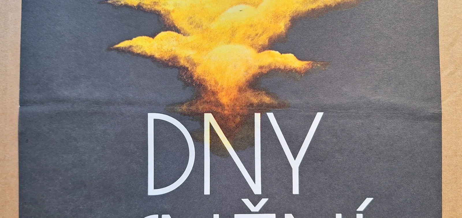 DNY SNENI, DAYS OF DREAMS, ORIGINAL A3 CZECH MOVIE POSTER, JAN TOMANEK, изображение 2