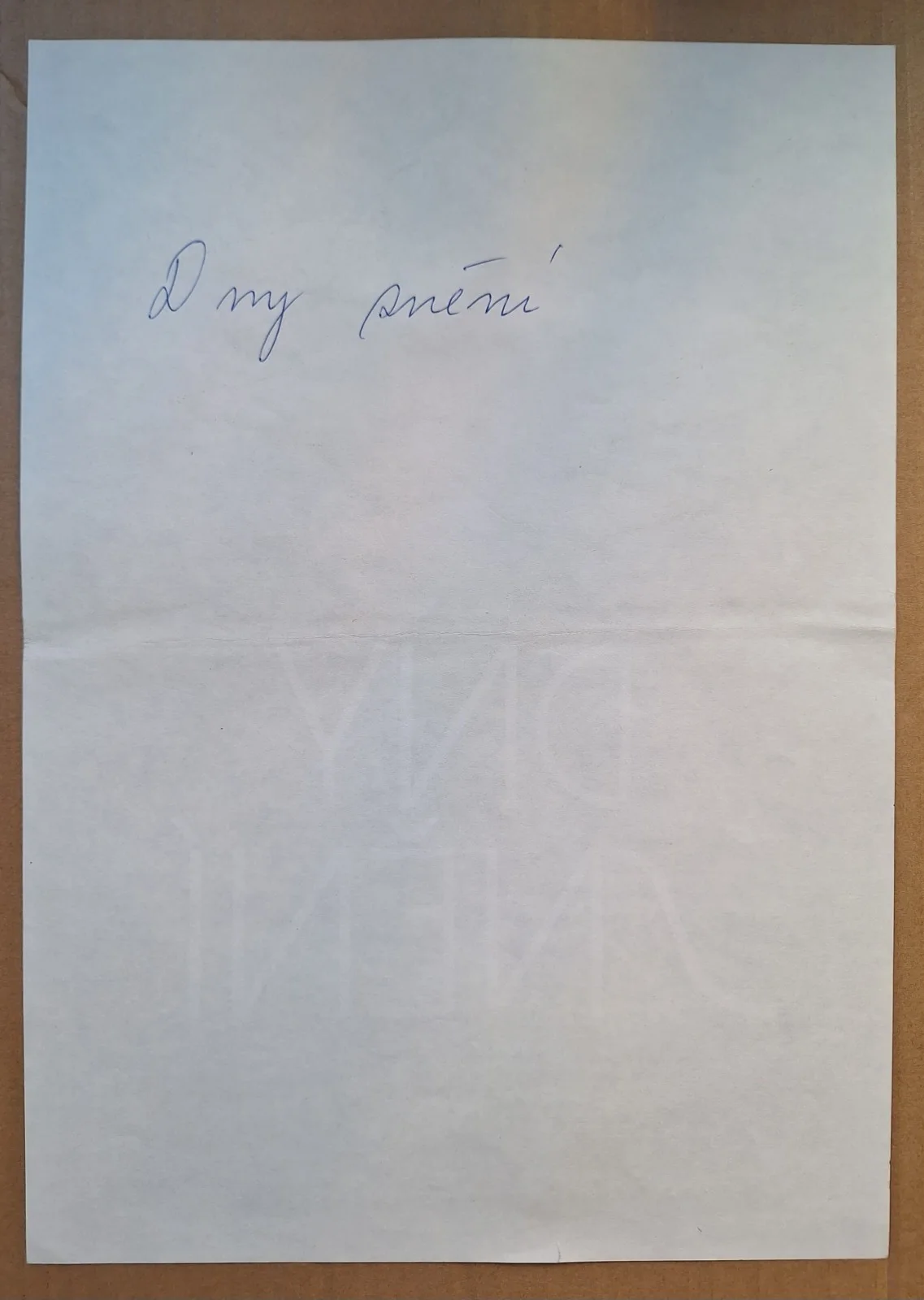 DNY SNENI, DAYS OF DREAMS, ORIGINAL A3 CZECH MOVIE POSTER, JAN TOMANEK, изображение 5