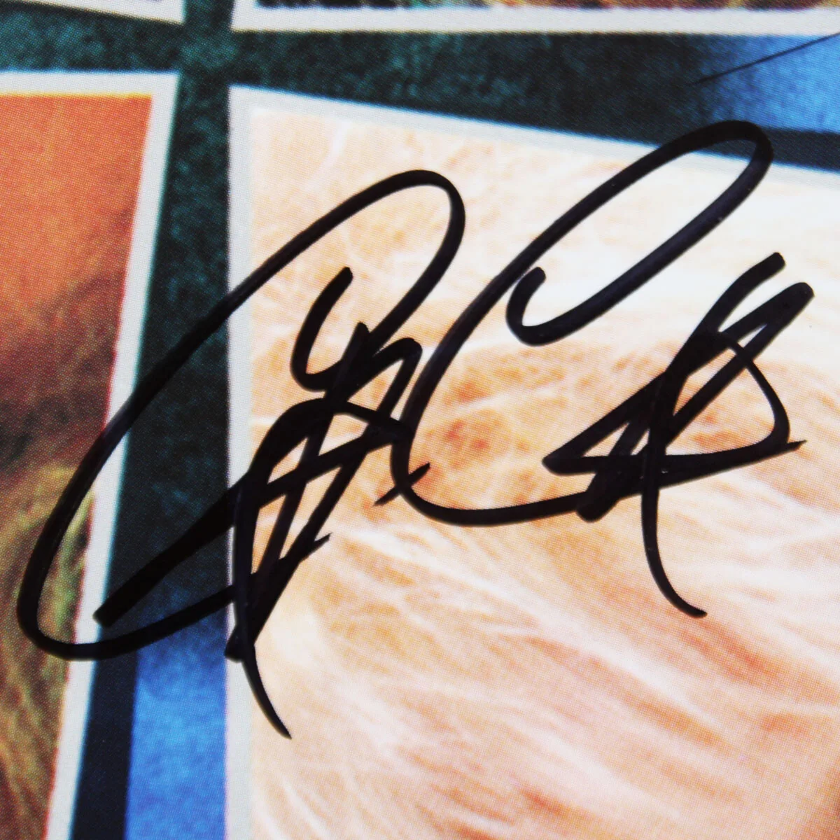 Poison Band Signed Record Album What the Cat Dragged In (4) Bret Michaels, C...., image 4