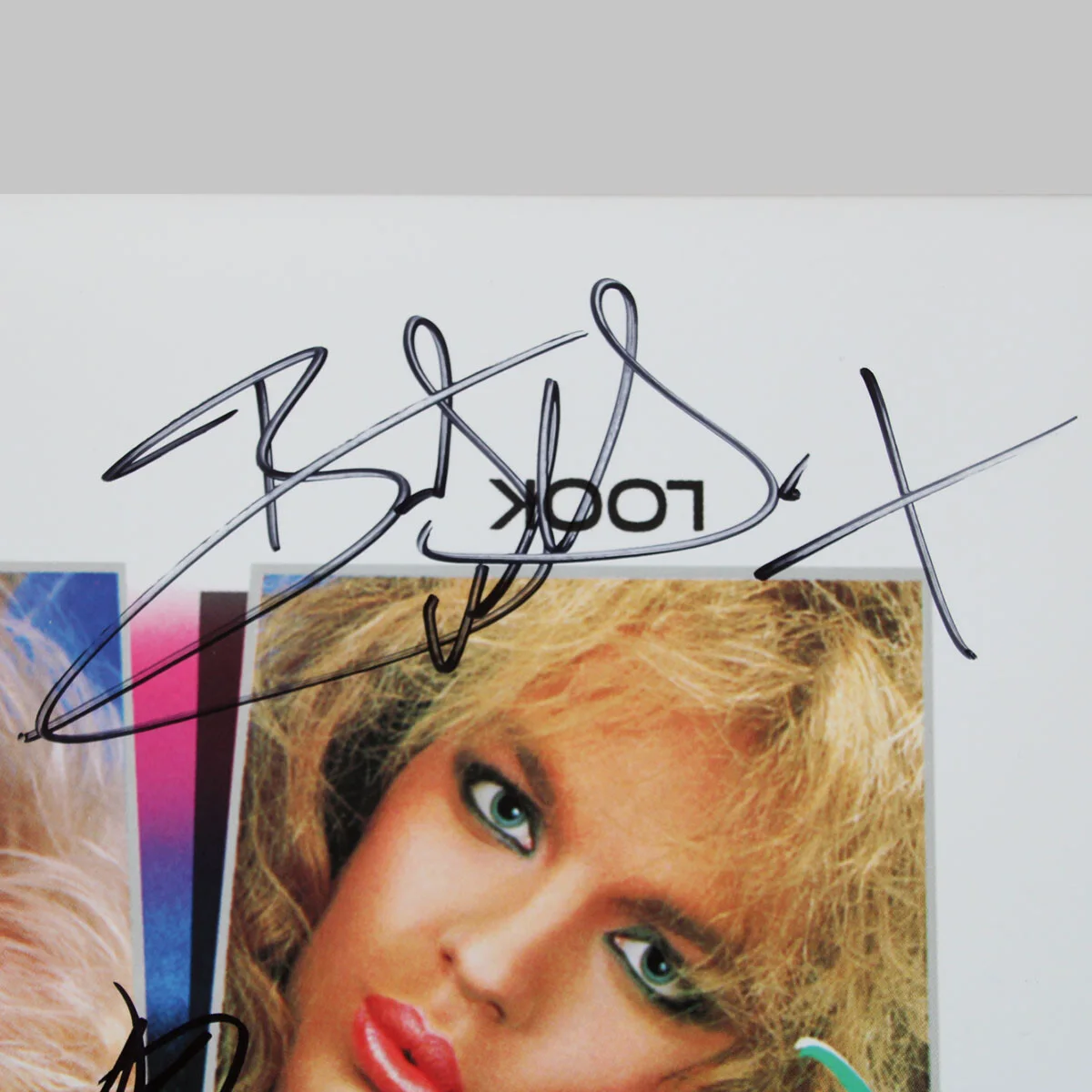 Poison Band Signed Record Album What the Cat Dragged In (4) Bret Michaels, C...., image 5