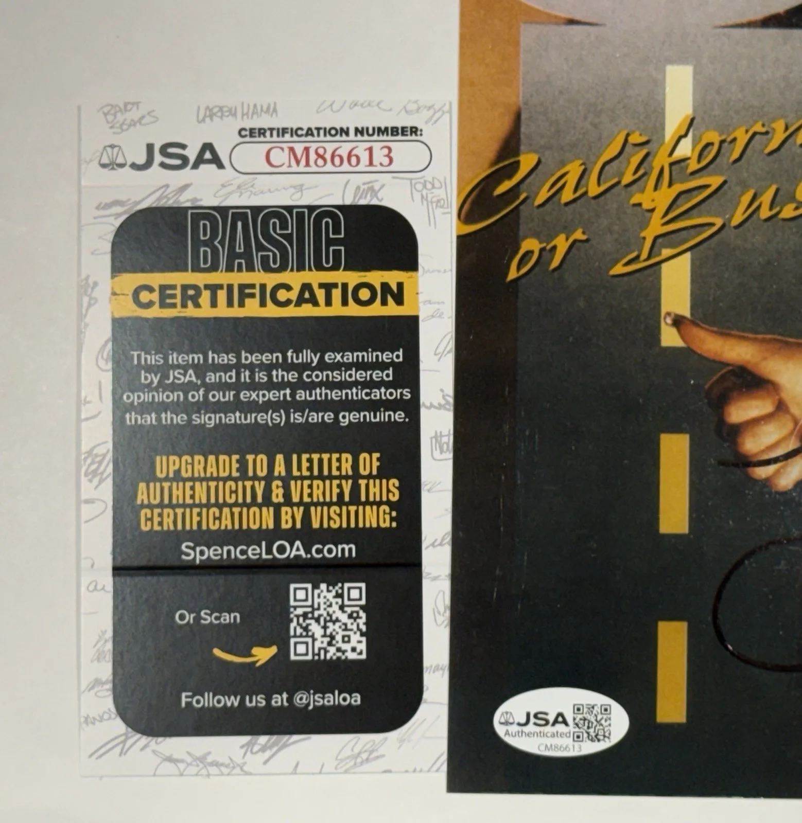 Lisa Ann Adult STAR SIGNED 8X10 PHOTO Autograph Sexy 🔥Naughty America JSA, изображение 3