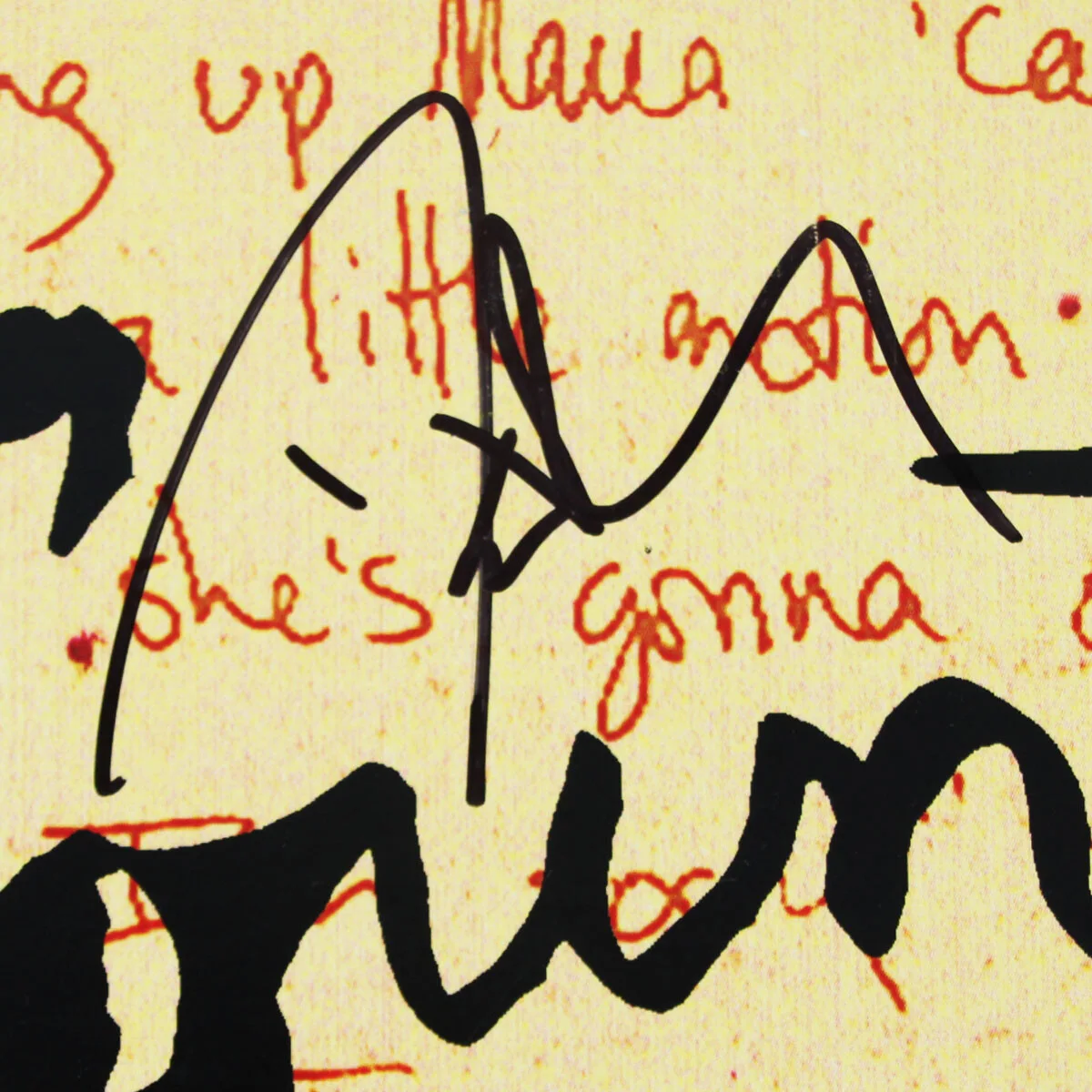 Counting Crows Band Signed Record Album August and Everything (7) Incl. Adam ..., image 5